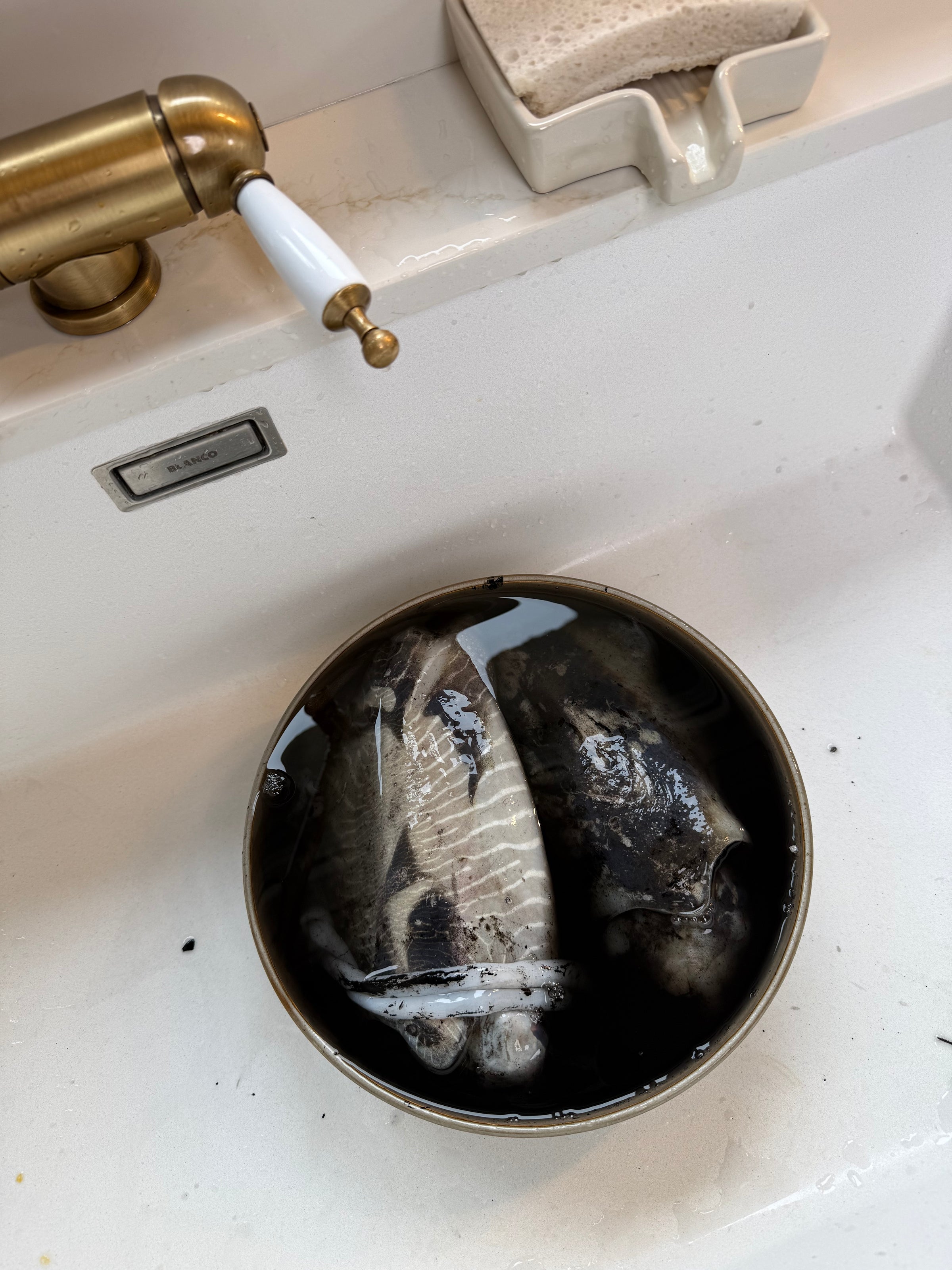 A metal bowl filled with water and two raw fish sits in a white kitchen sink, next to a brass faucet and a white sponge on a ceramic holder.