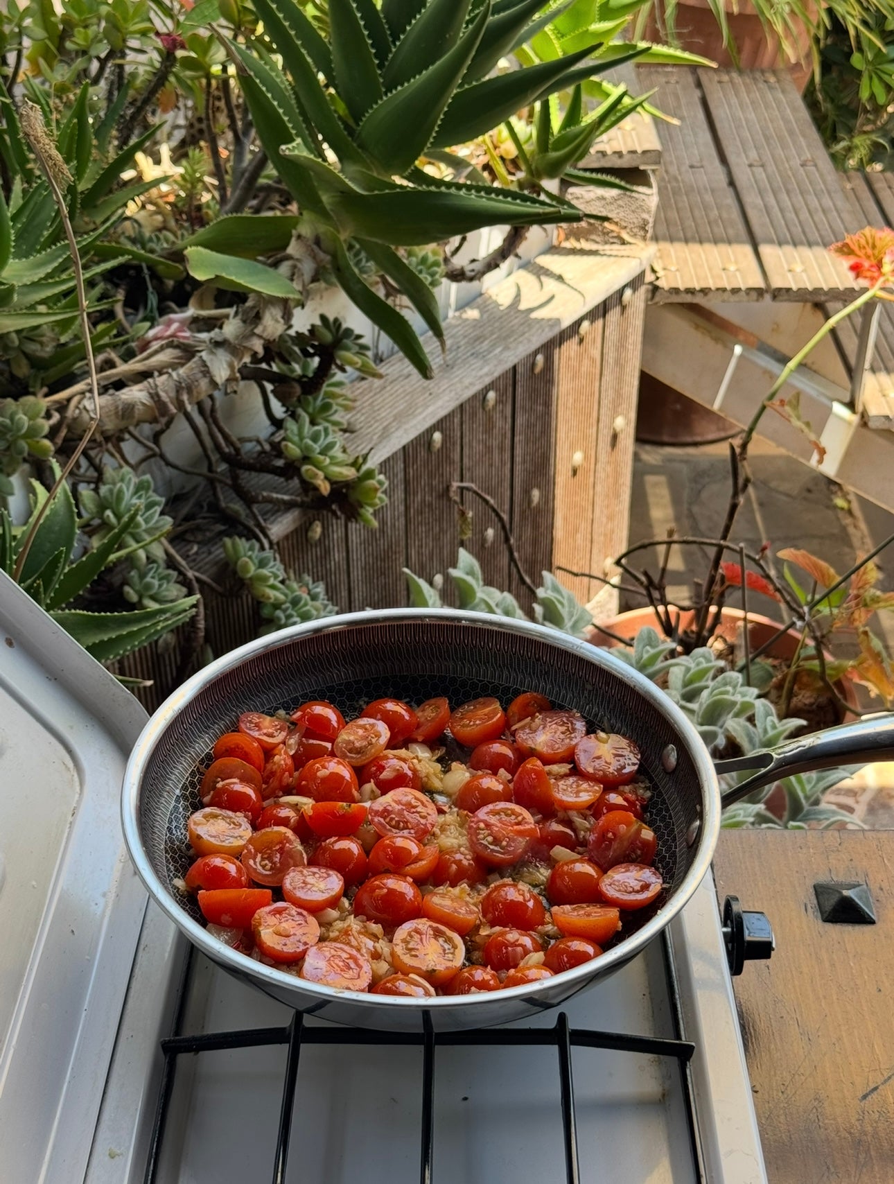 A pan filled with halved cherry tomatoes cooking on a stovetop outside, surrounded by various green succulents and wooden decking in the background.