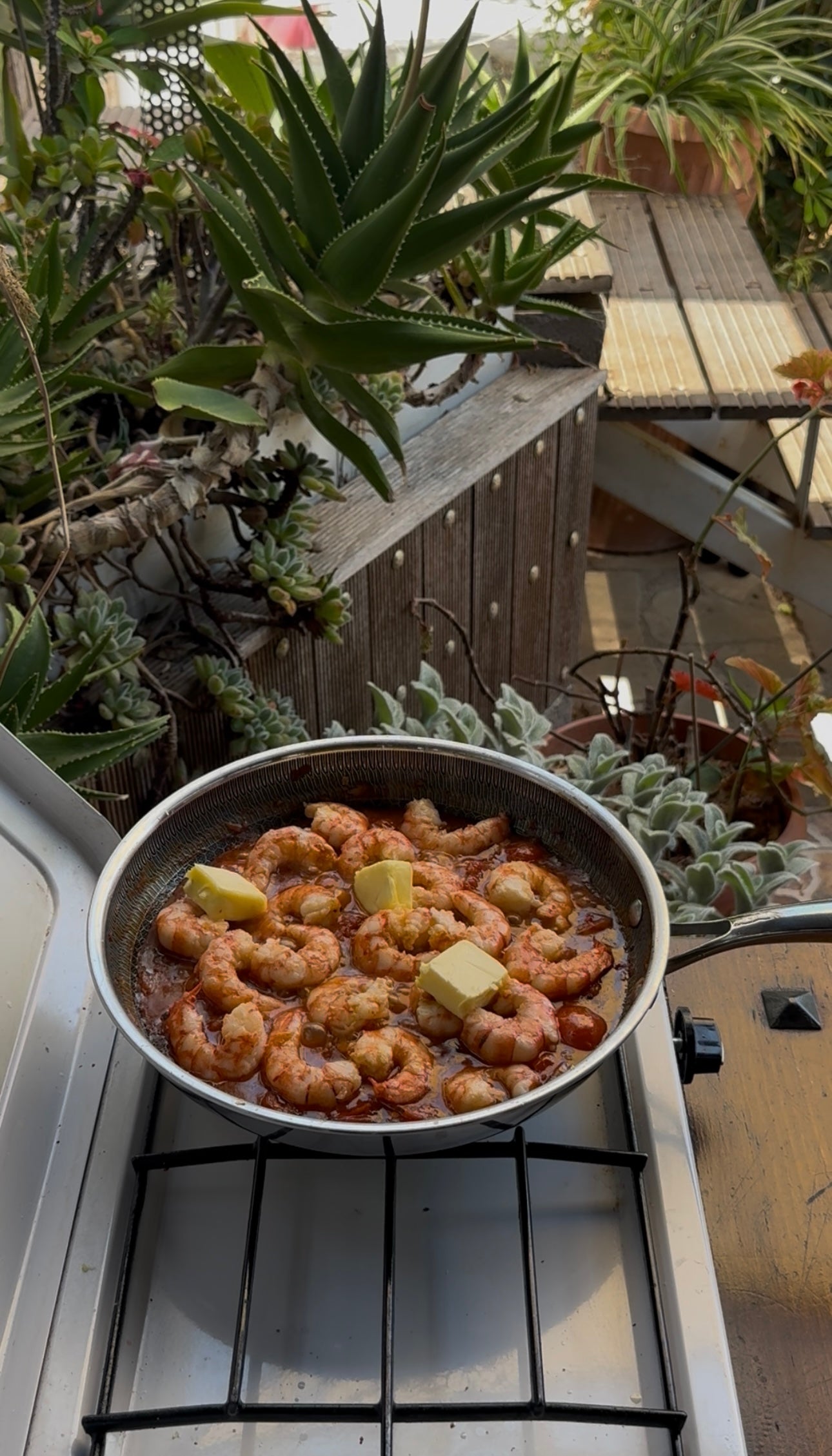 A pan of shrimp in sauce with several cubes of butter on top cooks on an outdoor stove, surrounded by various green potted plants.