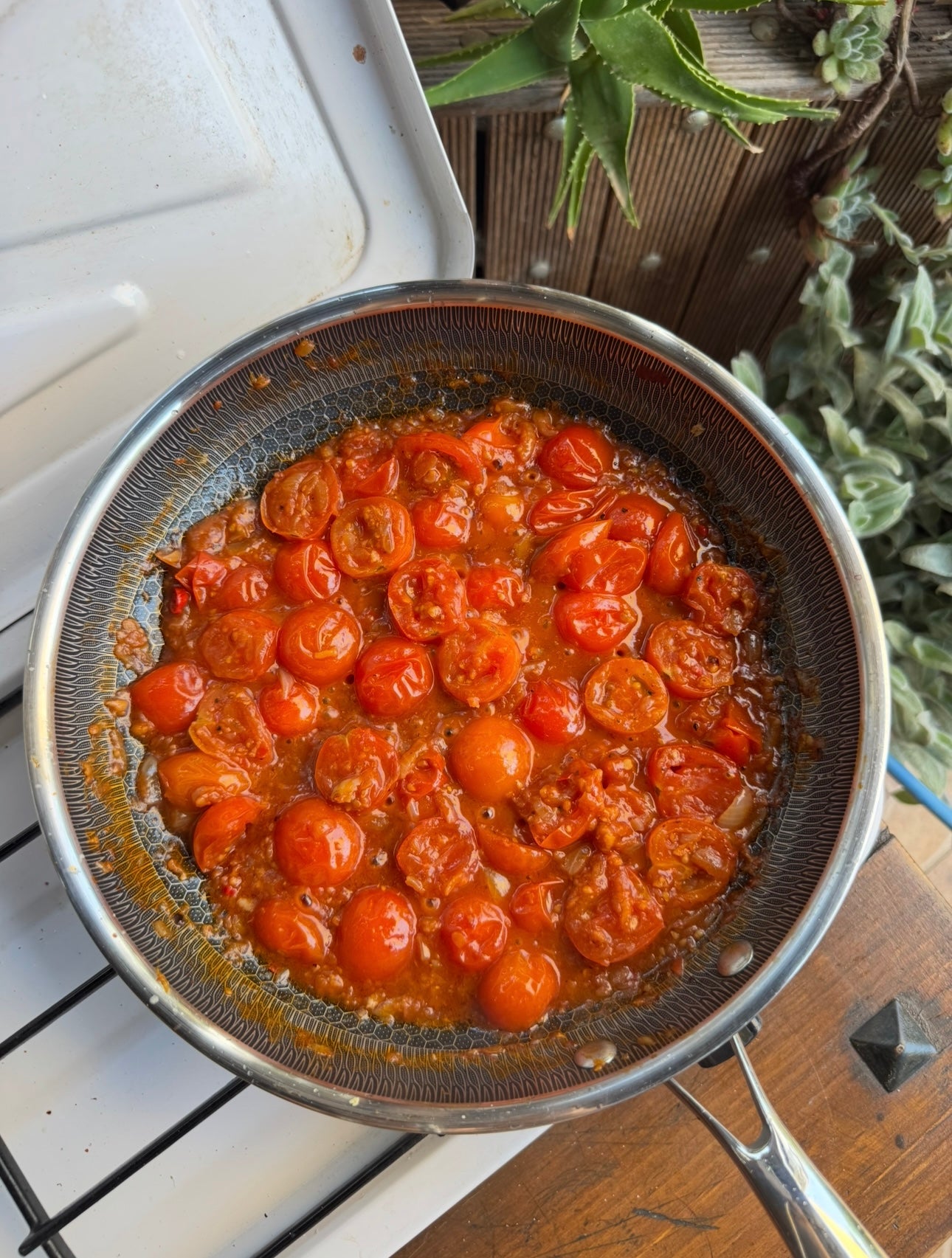 A pan filled with cherry tomatoes simmering in a tomato sauce sits on a stove, surrounded by green succulent plants.
