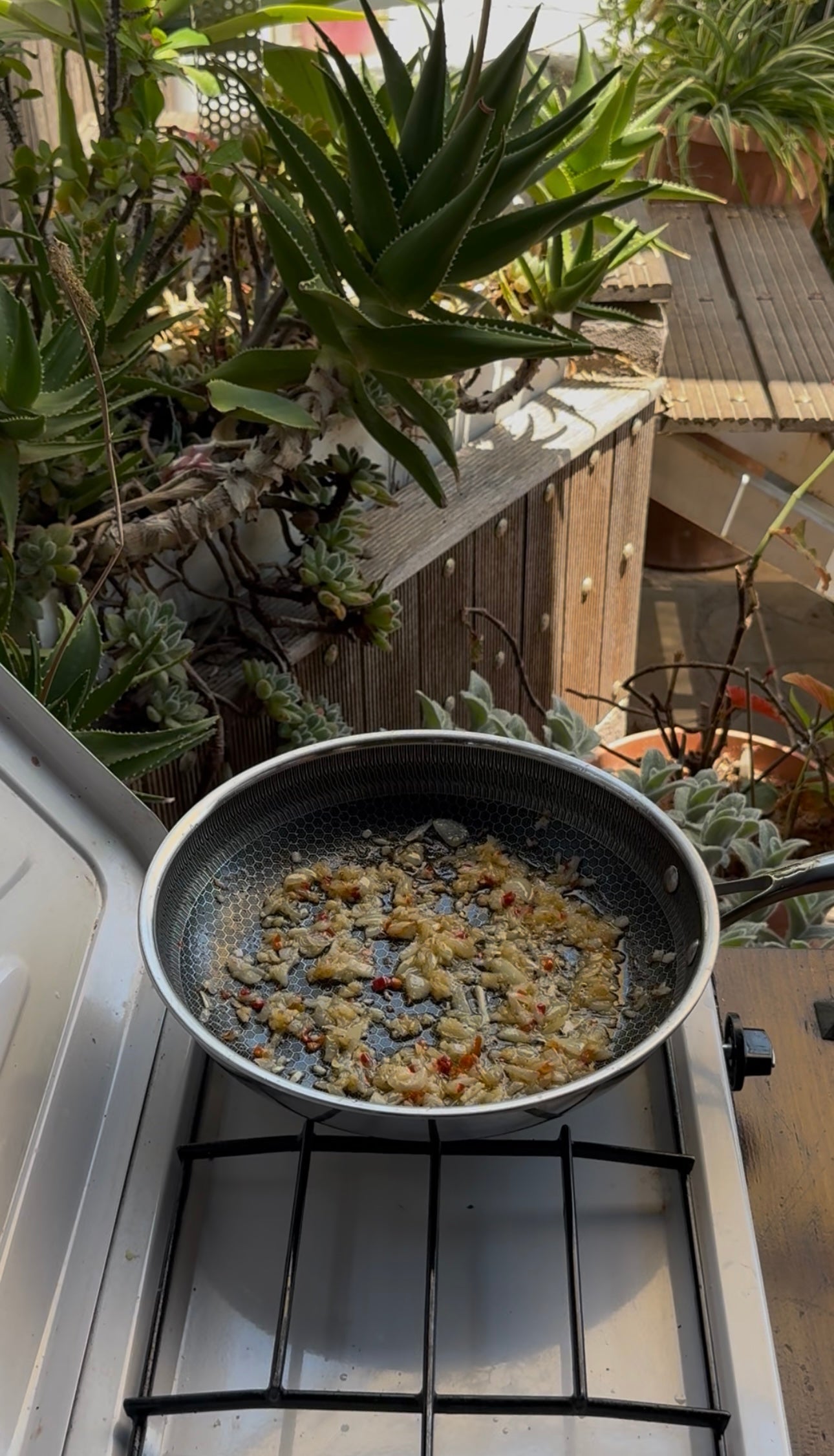 A frying pan with sizzling chopped garlic and chili is on an outdoor gas stove, surrounded by lush green succulent plants in the sunlight.