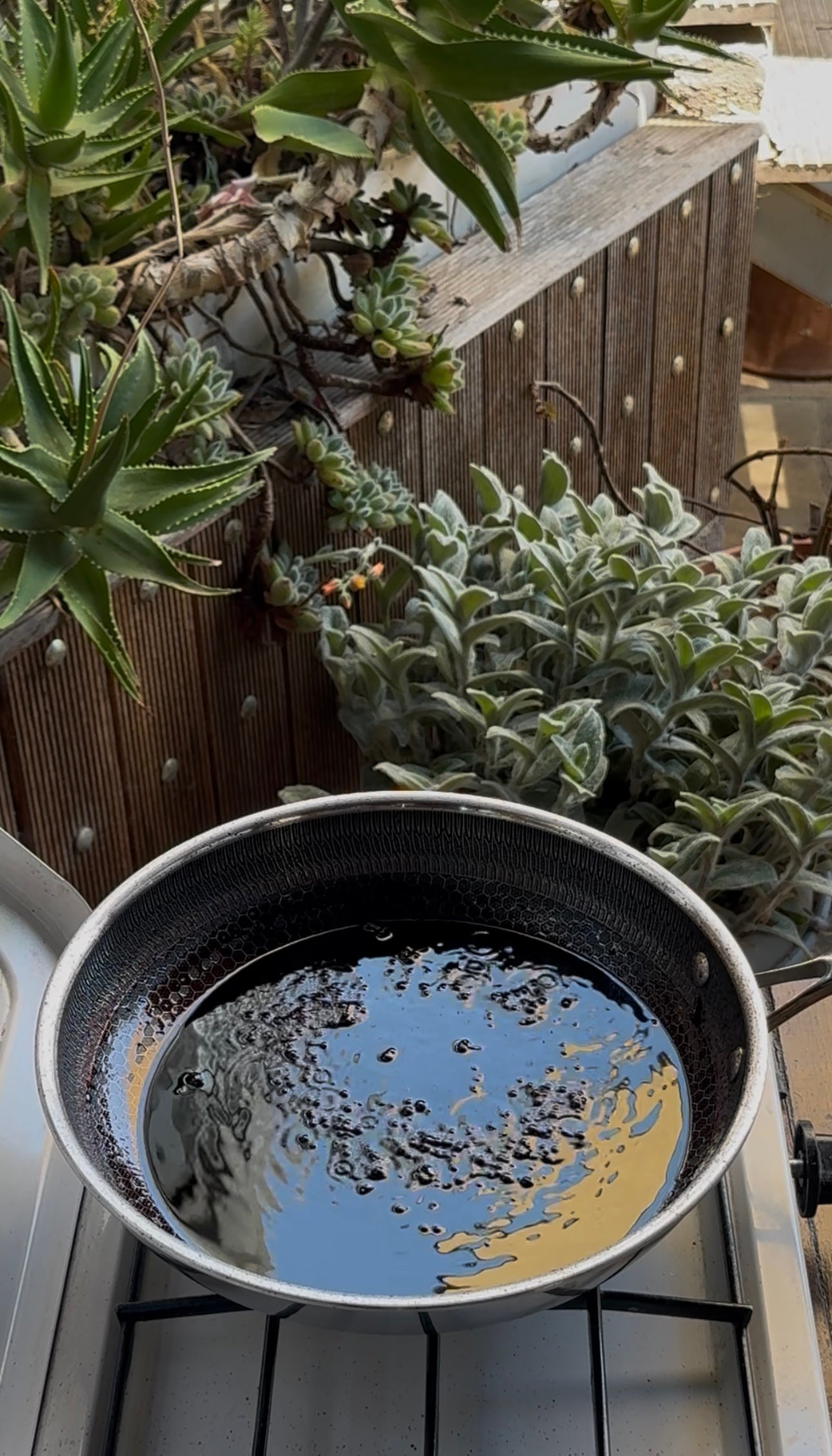 A black pan with dark oily liquid and specks sits outdoors on a stove, surrounded by potted green succulents and fuzzy-leaved plants, with a wooden fence in the background.