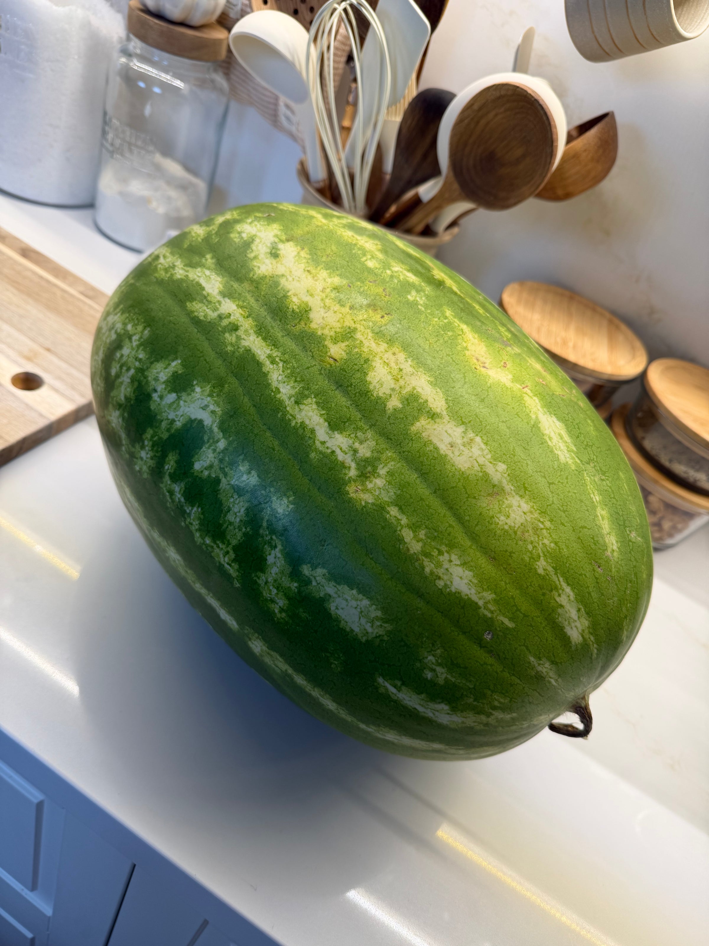 A large, oval watermelon with green and light green stripes sits on a white kitchen countertop near wooden utensils and jars.