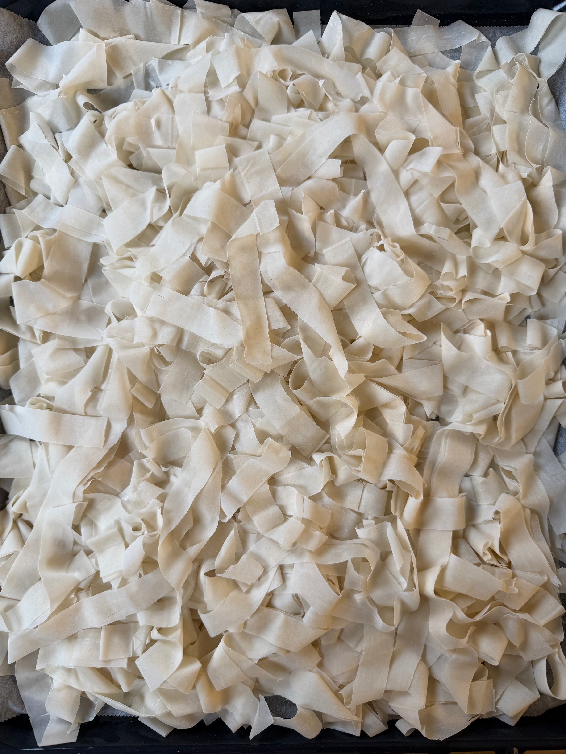 A close-up of a large pile of uncooked, flat, and wide pasta noodles spread out evenly on a baking sheet.