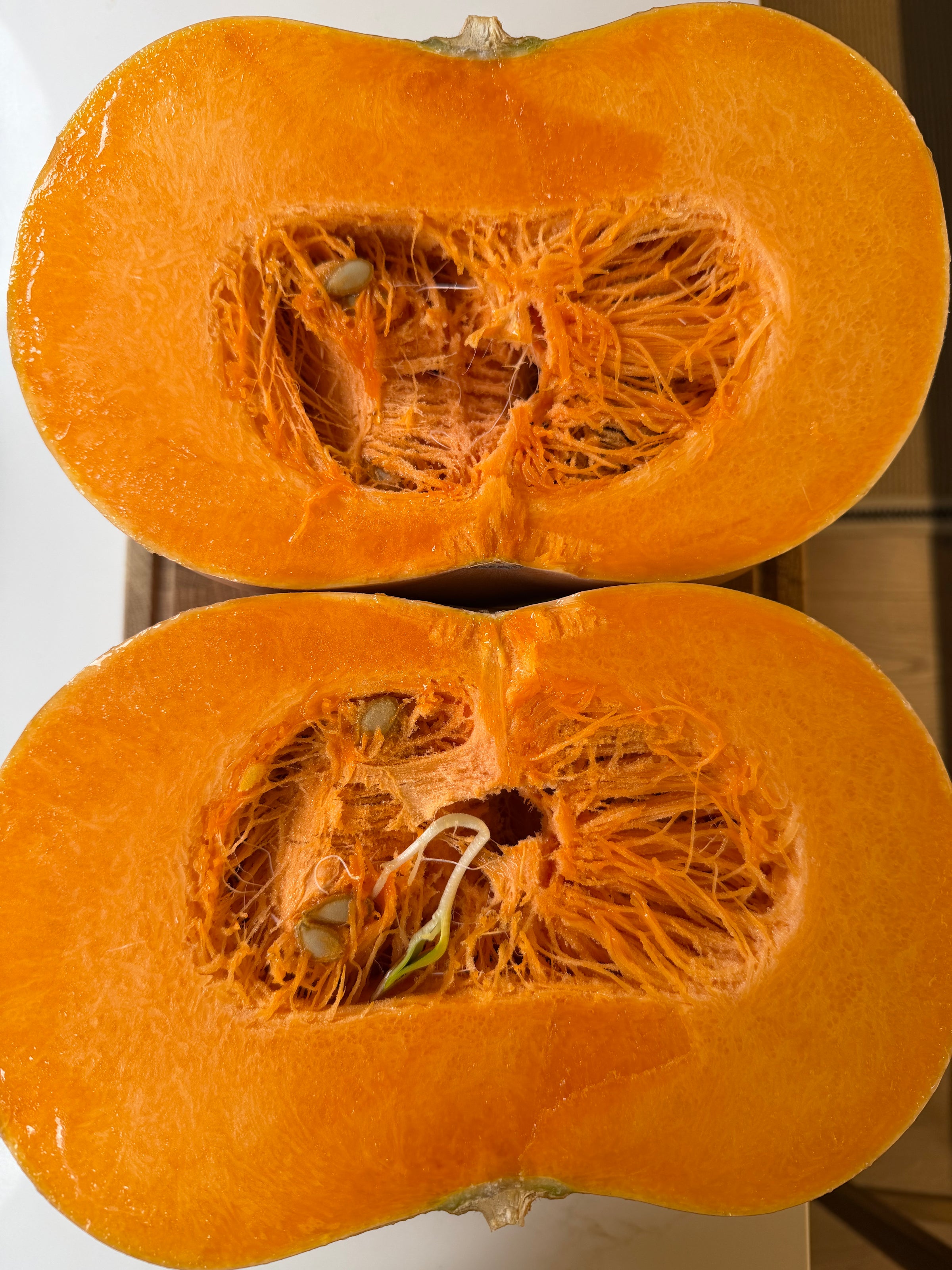 A halved pumpkin with fibrous orange flesh and seeds, featuring a small green sprout growing inside.