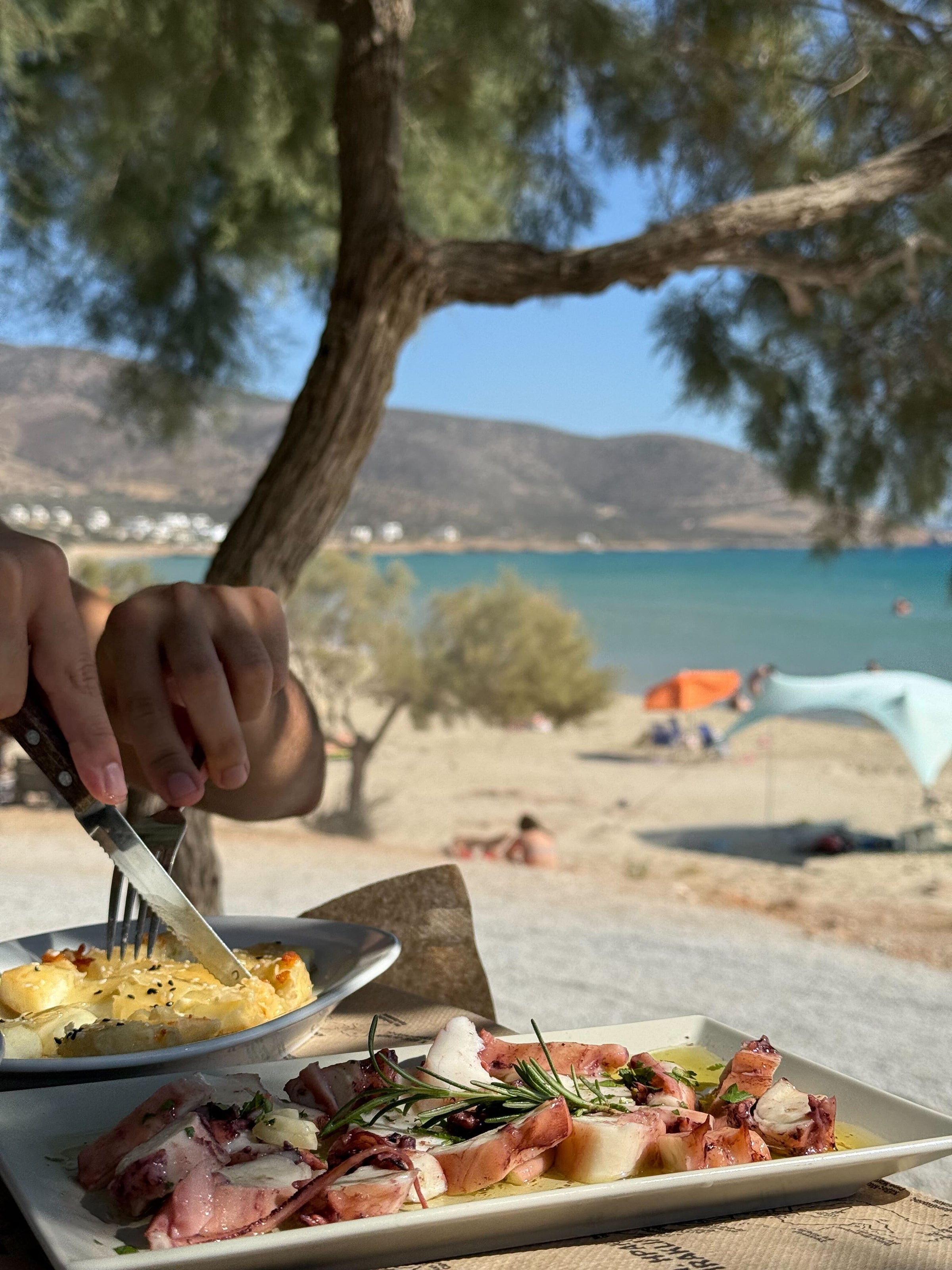 A person cuts into a dish of cheesy potatoes beside a plate of grilled octopus, with a sandy beach, turquoise sea, and mountains in the background under a tree’s shade.