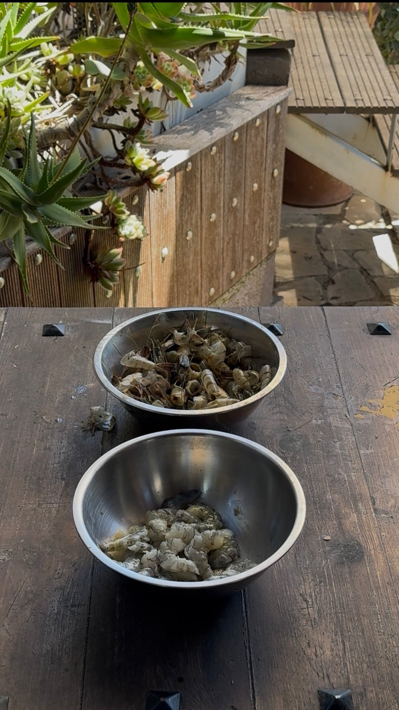 Two metal bowls sit on a wooden surface; one contains shrimp shells, the other peeled shrimp. Sunlight casts shadows, and potted plants are visible in the background.