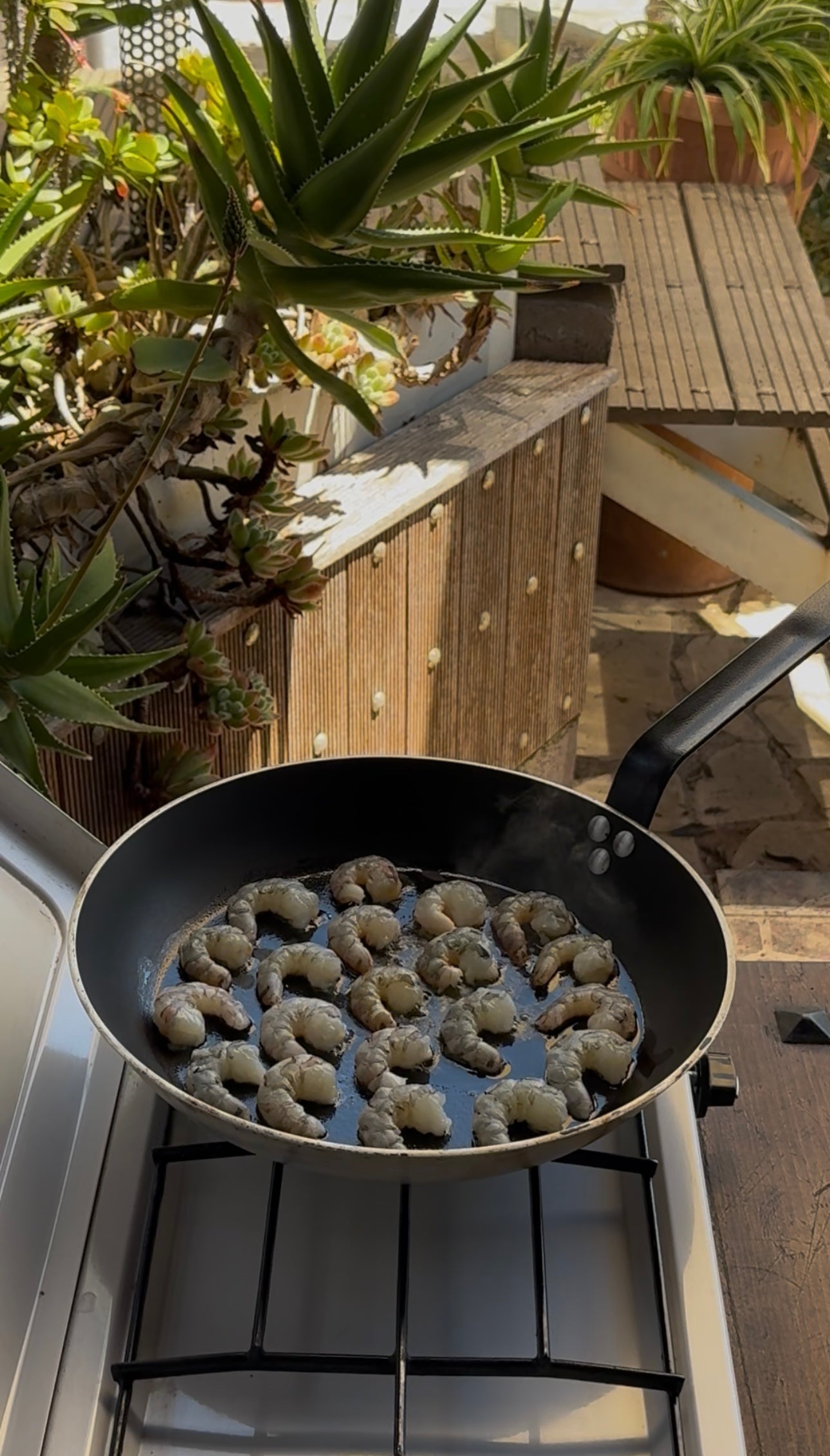 A frying pan with several pieces of food sizzling on a stove outdoors, surrounded by various green potted succulents and a wooden railing in sunlight.