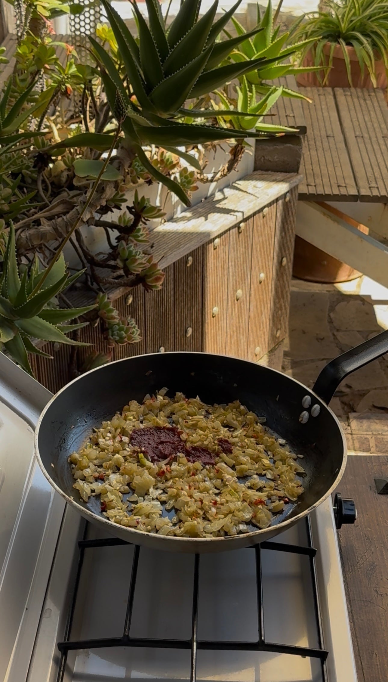 A frying pan with chopped onions and a dollop of tomato paste cooks on a gas stove, beside a sunlit windowsill filled with various succulent plants and rustic outdoor decor in the background.