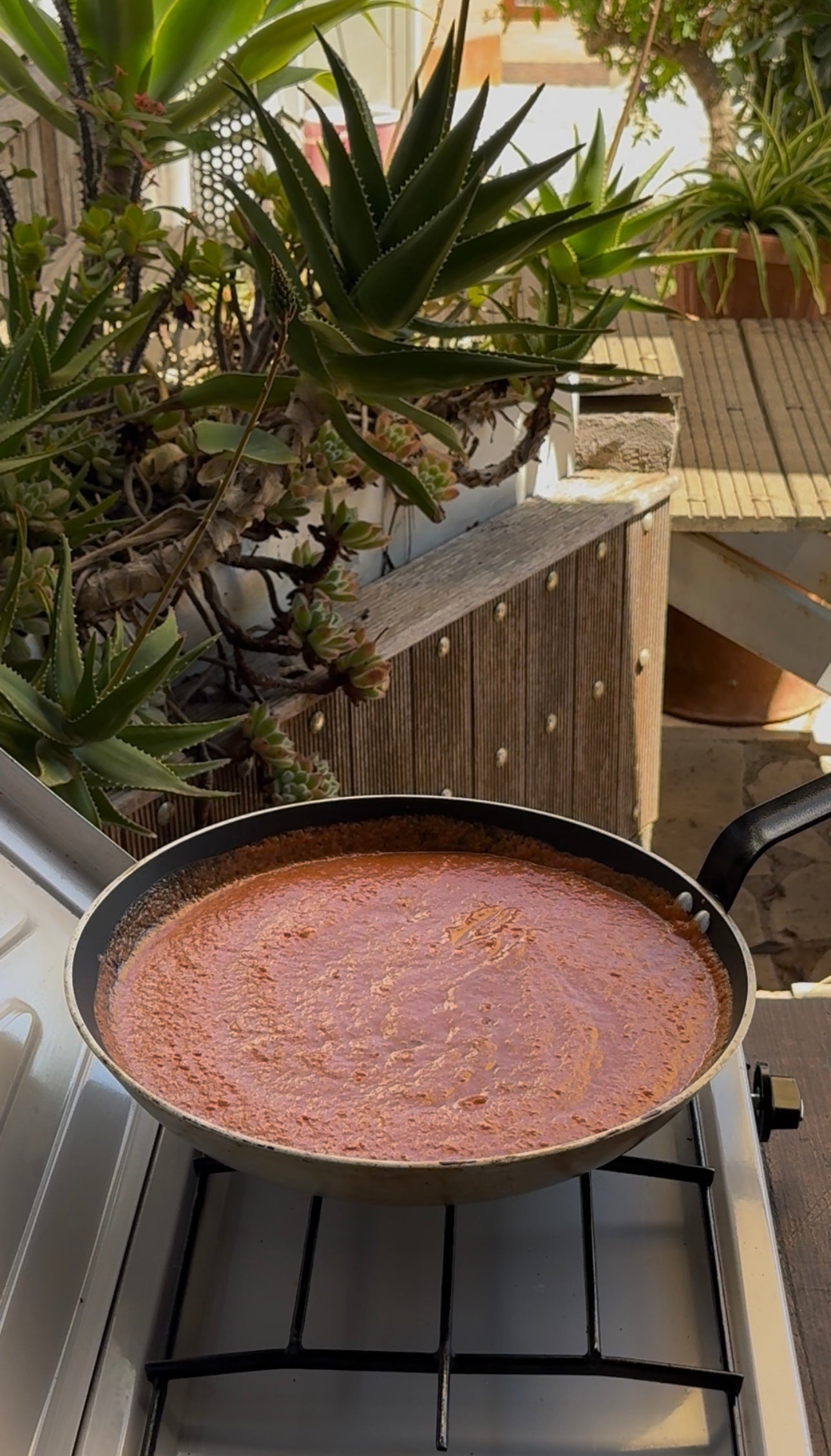 A frying pan with red sauce is cooking on a stovetop outdoors, near a wooden fence and some green succulent plants in the background.