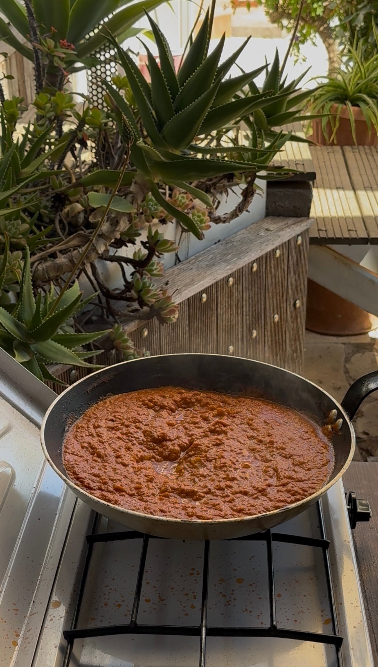 A frying pan filled with simmering red tomato sauce sits on a stove outdoors, surrounded by green potted succulents and wooden steps in natural sunlight.