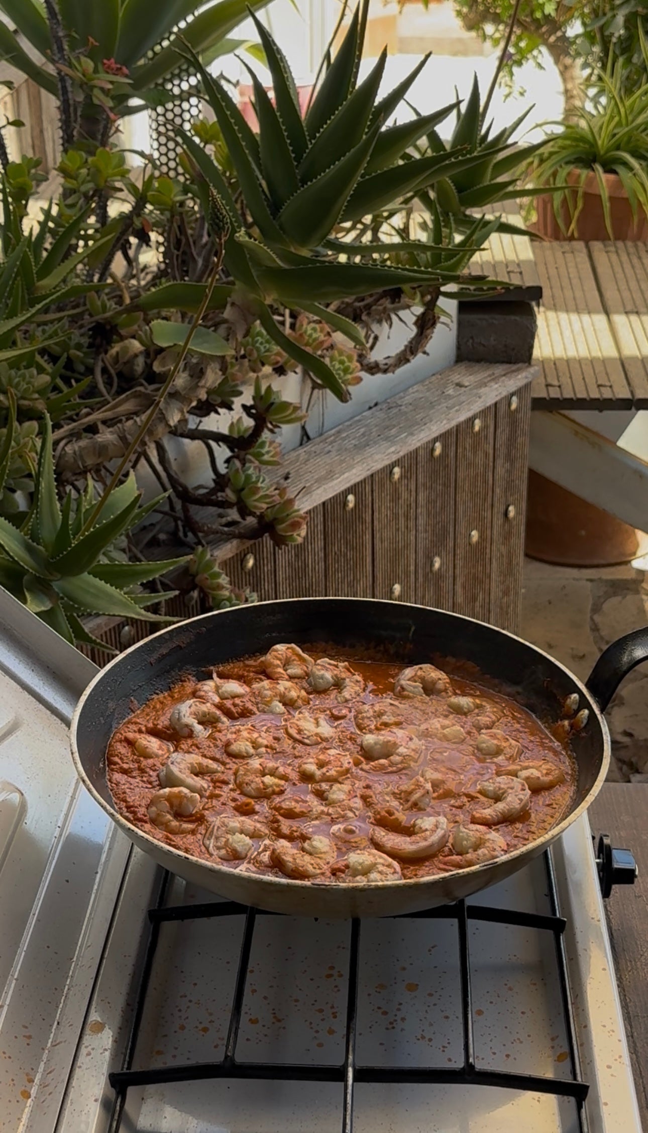 A frying pan filled with shrimp in a red sauce cooks on a stovetop outdoors, surrounded by green potted succulents and natural wooden decor.