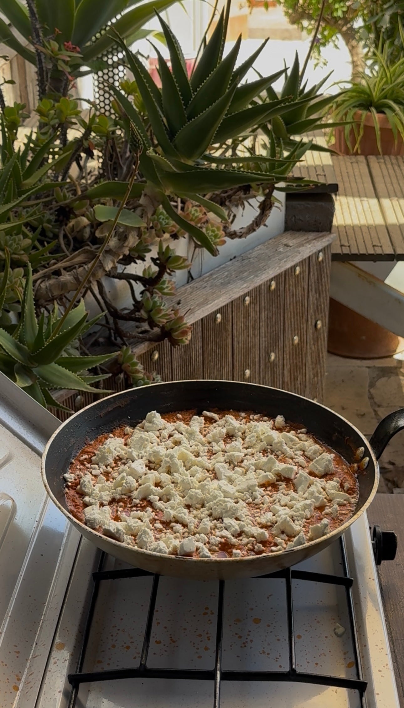 A frying pan with a tomato-based dish topped with crumbled white cheese cooks on a stove outdoors, surrounded by potted succulents and wooden steps.