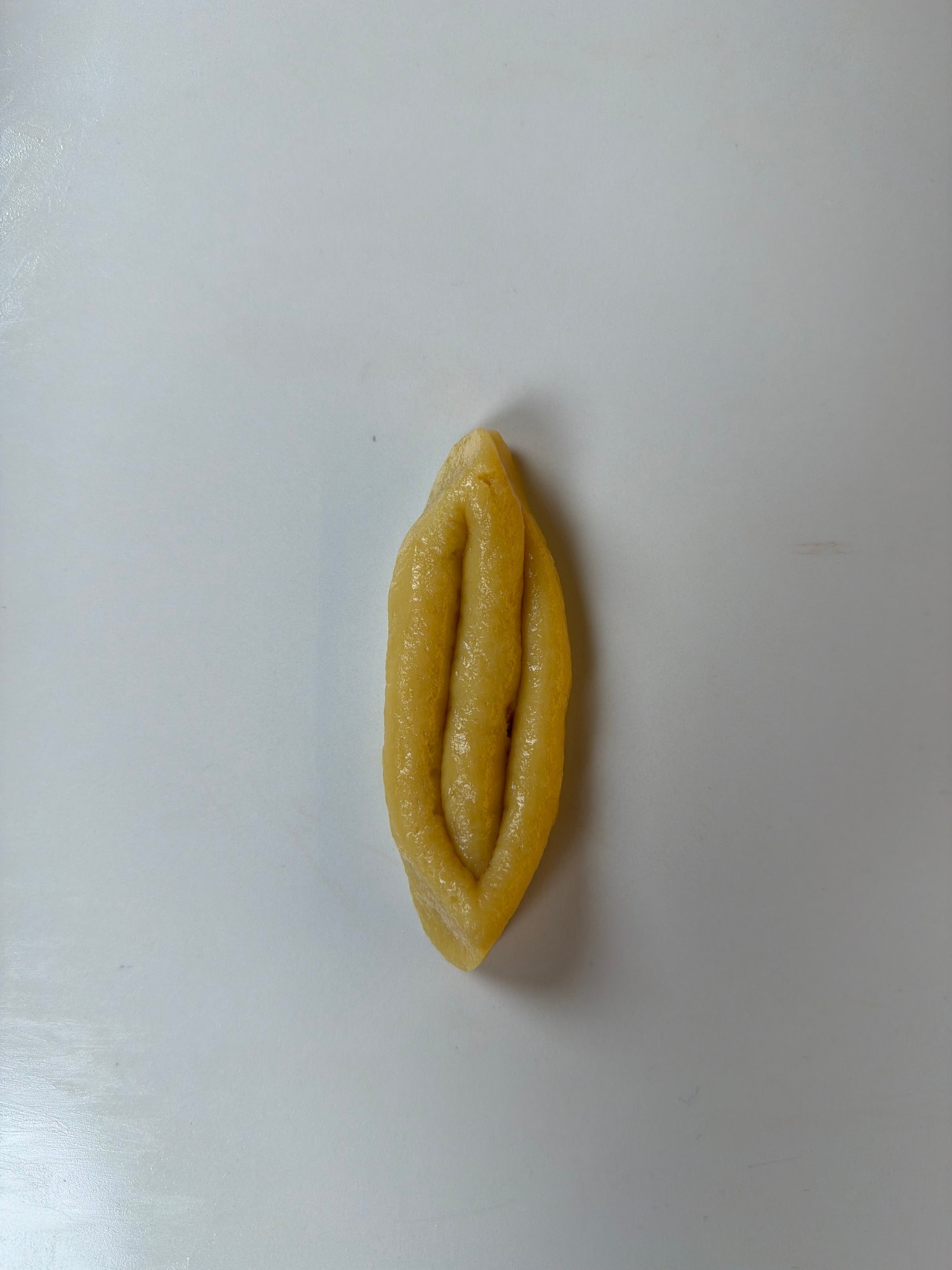 A single piece of uncooked pasta shaped like a shell or canoe is placed on a plain white surface.