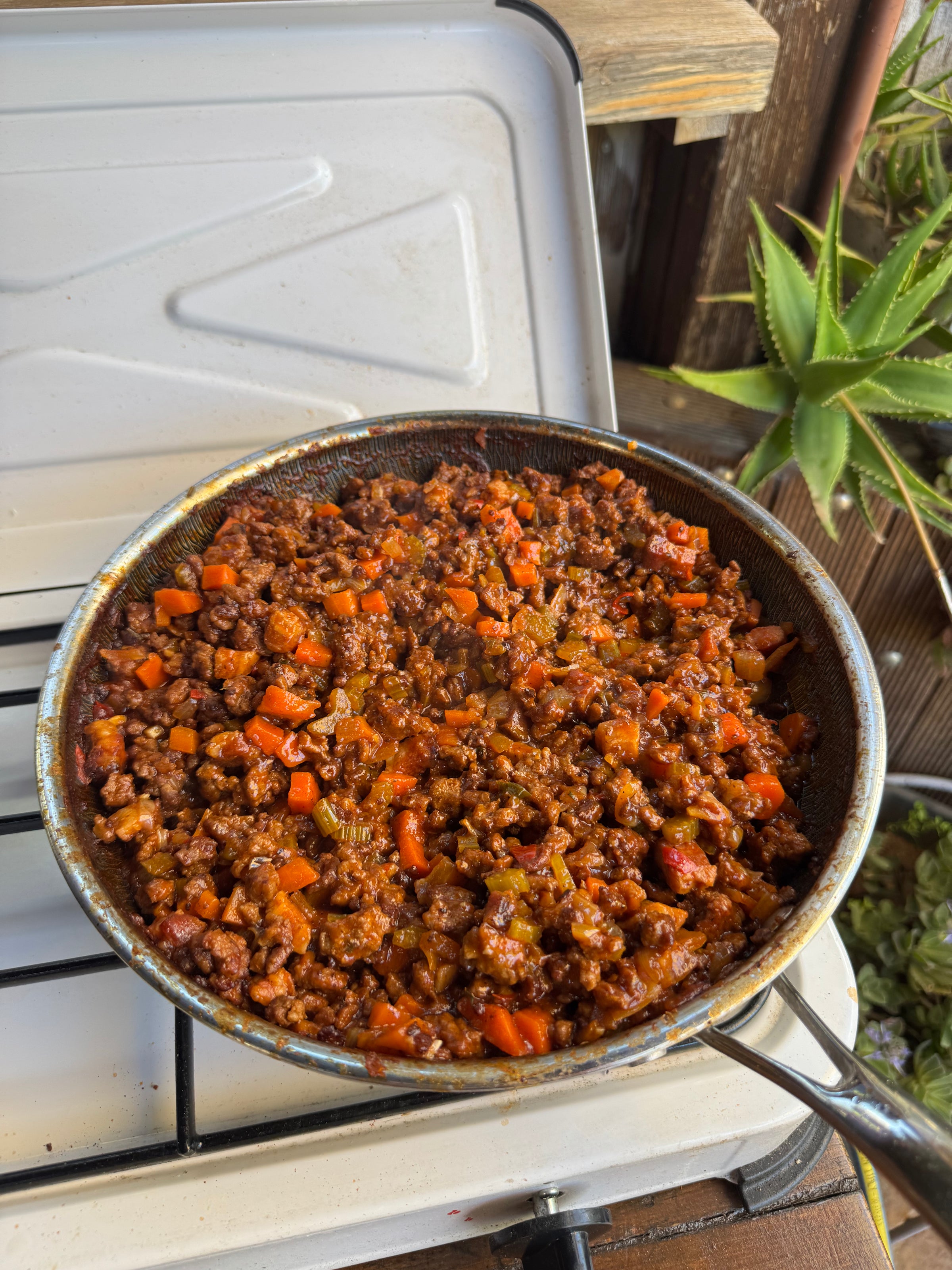 A frying pan filled with cooked ground meat, diced carrots, and vegetables sits on a white stovetop. A green succulent plant is visible in the background.