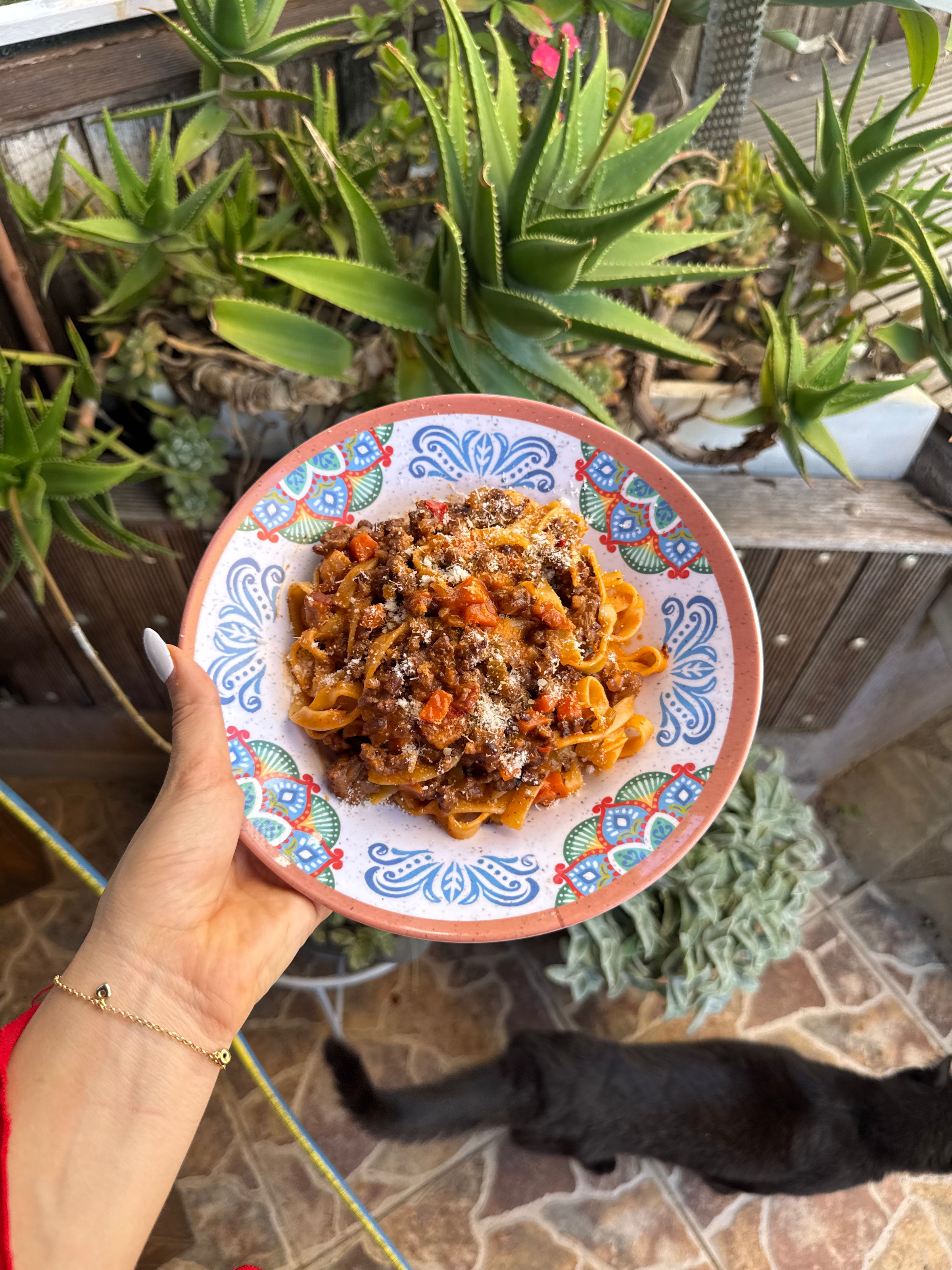 A hand holds a colorful plate of pasta topped with tomato sauce and grated cheese, surrounded by potted succulents. A black cat walks on the tiled floor below.