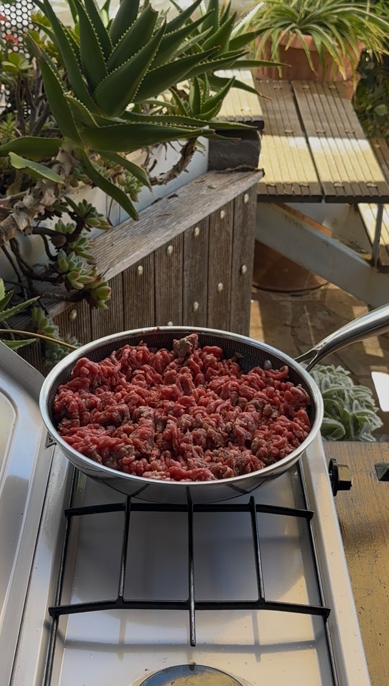 A frying pan filled with raw ground beef sits on a stove burner outdoors, surrounded by potted plants and wooden steps in the background.