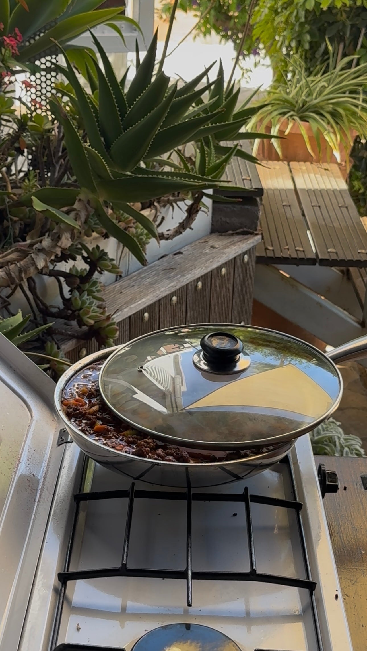 A glass-lidded pan with food cooking on an outdoor gas stove is surrounded by lush green succulent plants and wooden decking. Sunlight filters through, creating a relaxed, natural atmosphere.