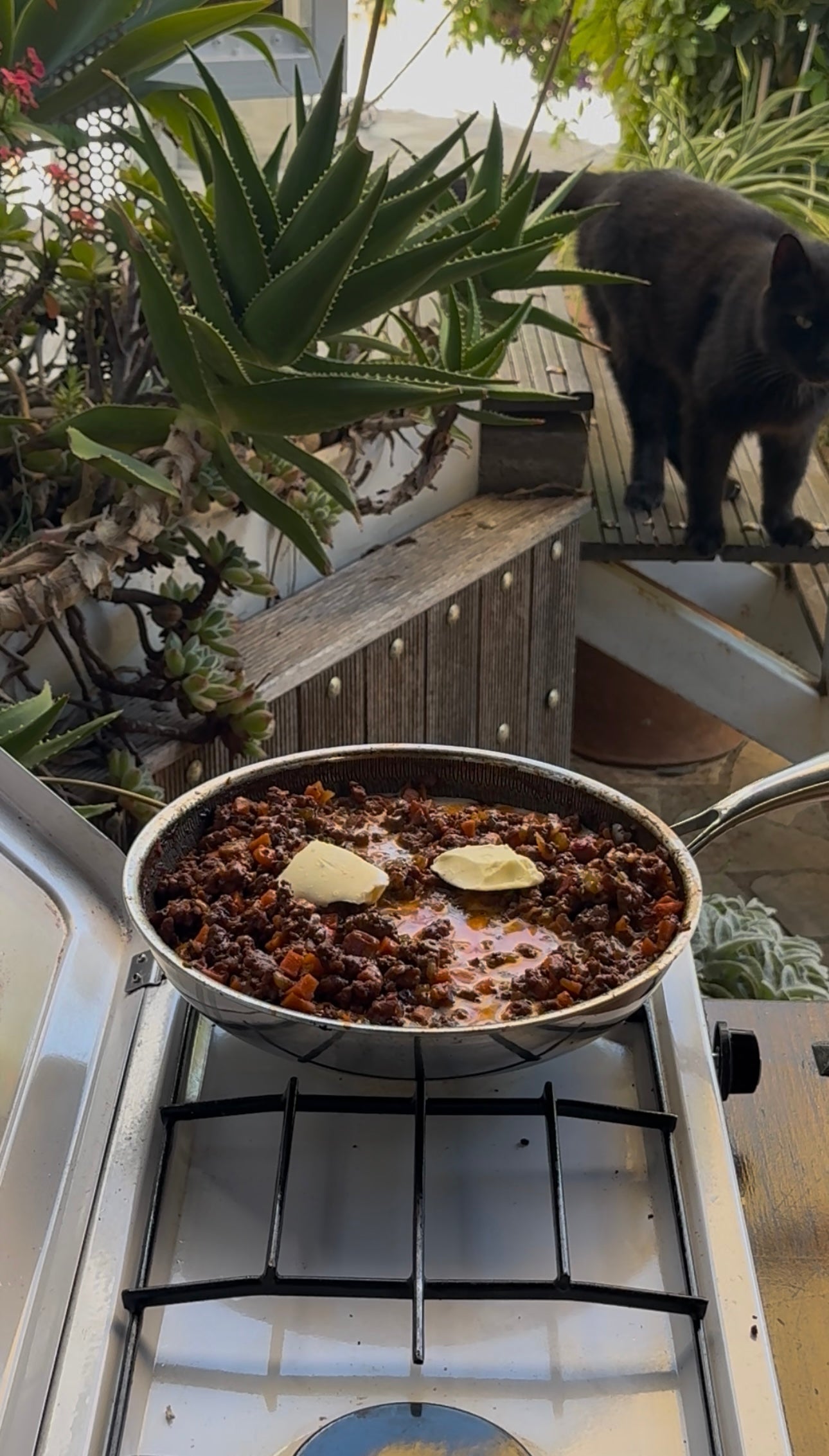 A pan of food with melted butter sits on an outdoor stove surrounded by plants, with a black cat standing on a wooden deck in the background.