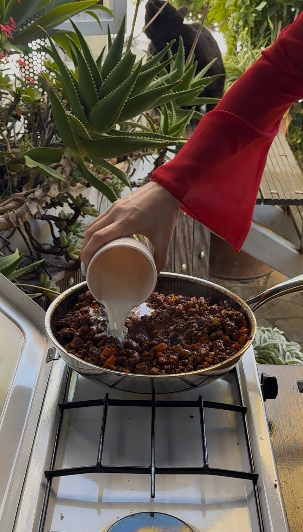 A person in a red sleeve pours a cup of white liquid into a pan of stew on a gas stove outdoors, surrounded by lush green plants.
