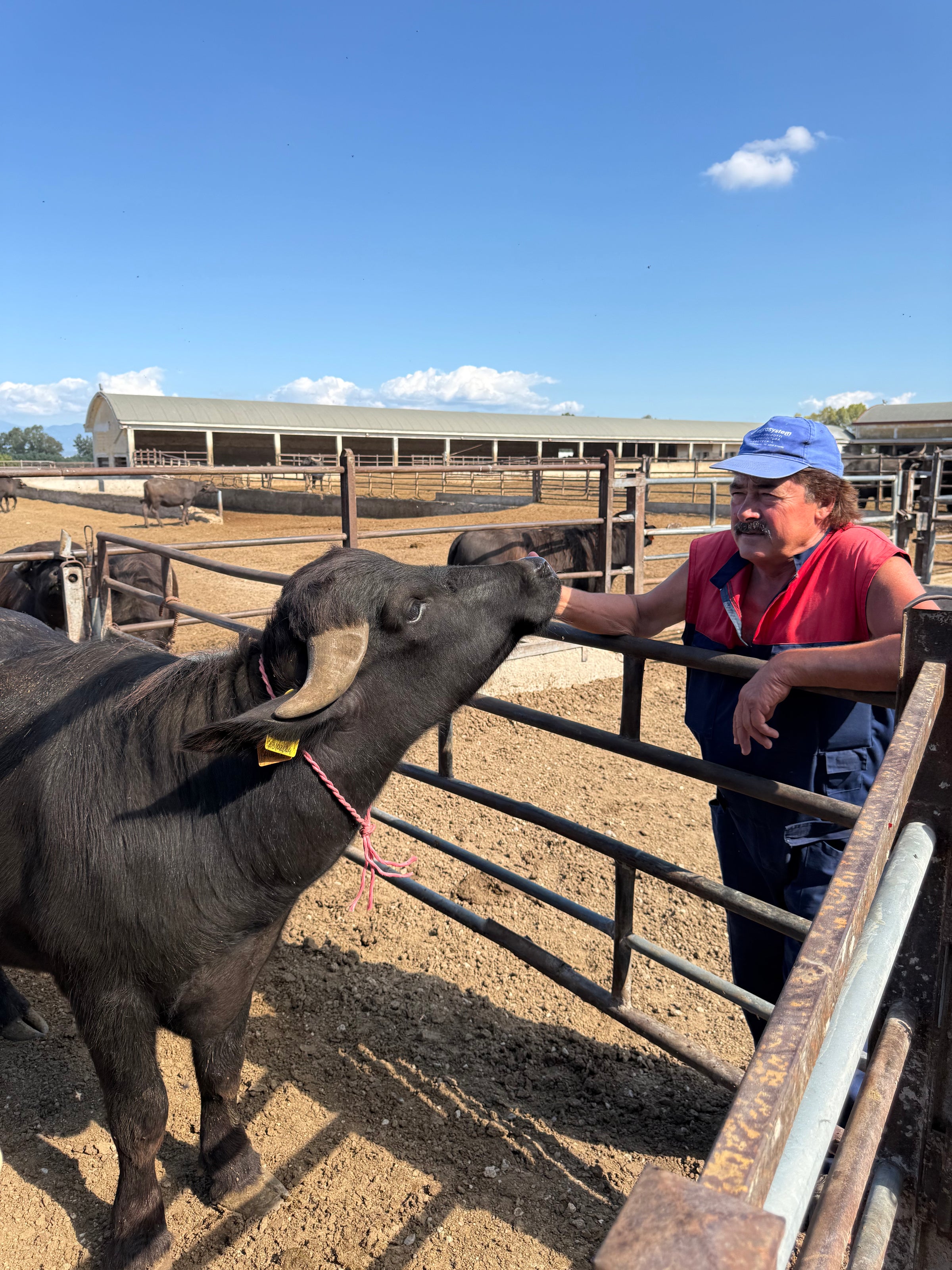 lifestyle cultural image 