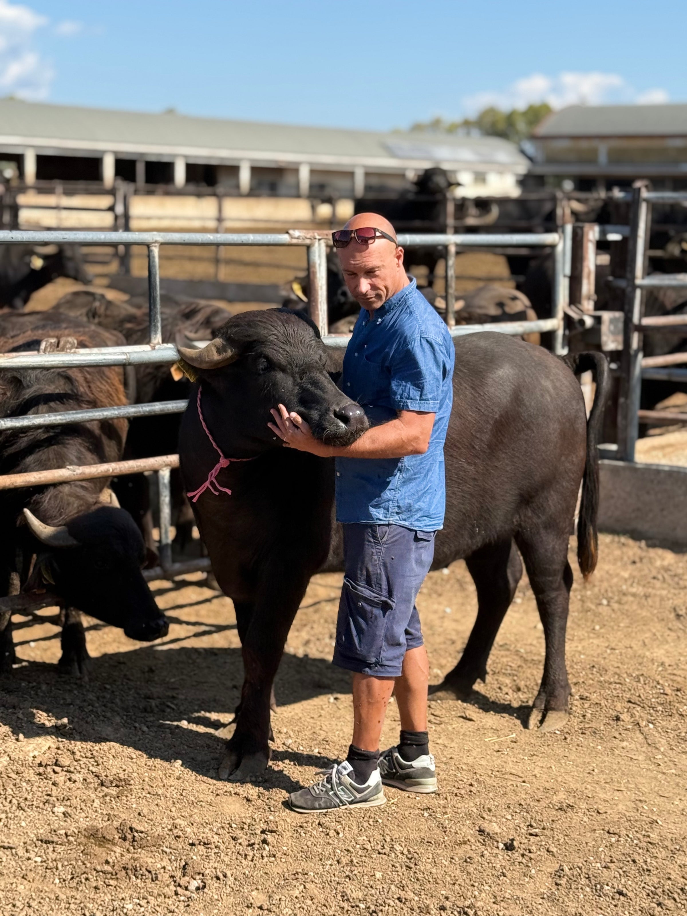 lifestyle cultural image 