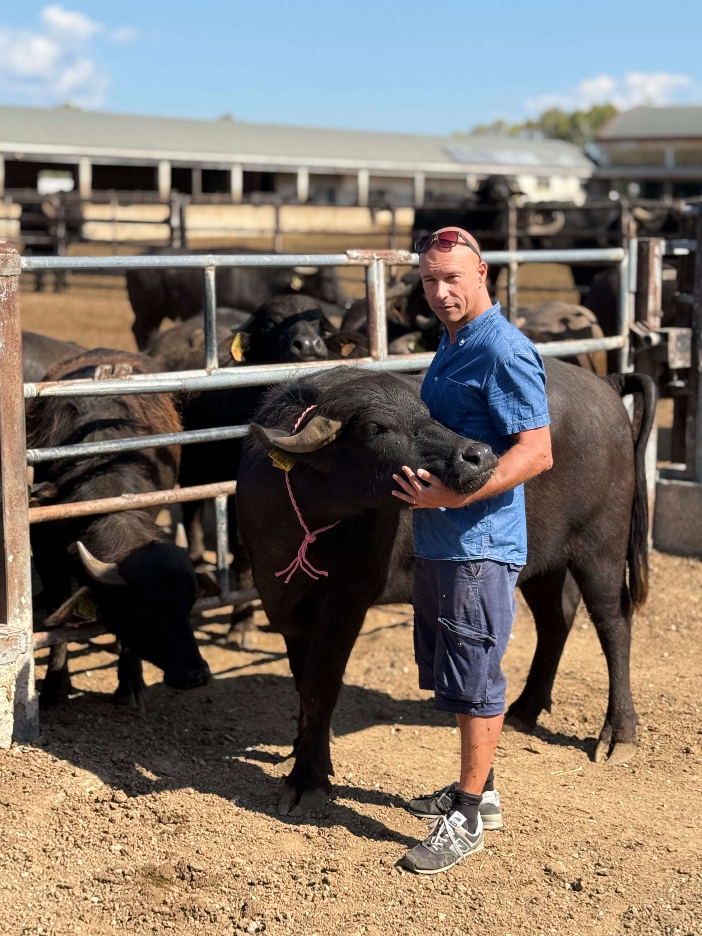 lifestyle cultural image 