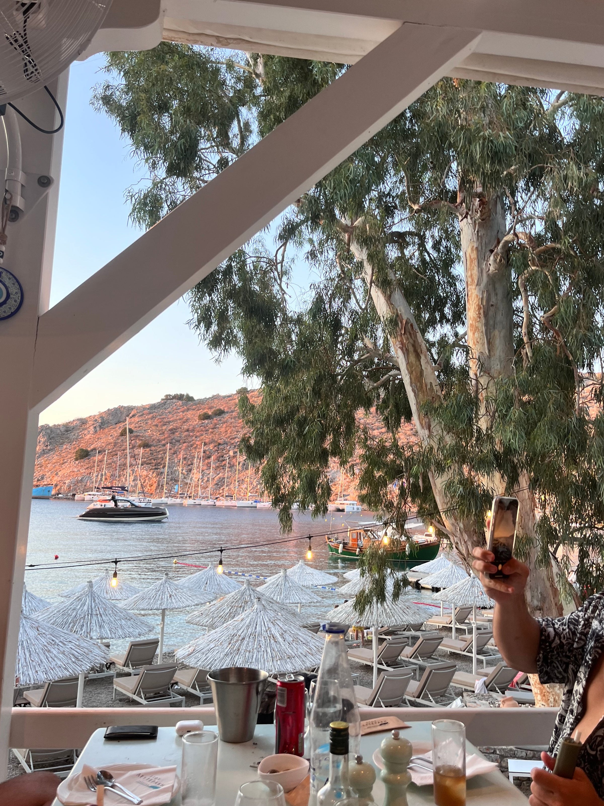 A seaside restaurant view with tables, drinks, and dishes in the foreground. Thatched umbrellas, lounge chairs, boats, and a hill are visible beyond a white fence and eucalyptus tree. A person is holding up a phone.