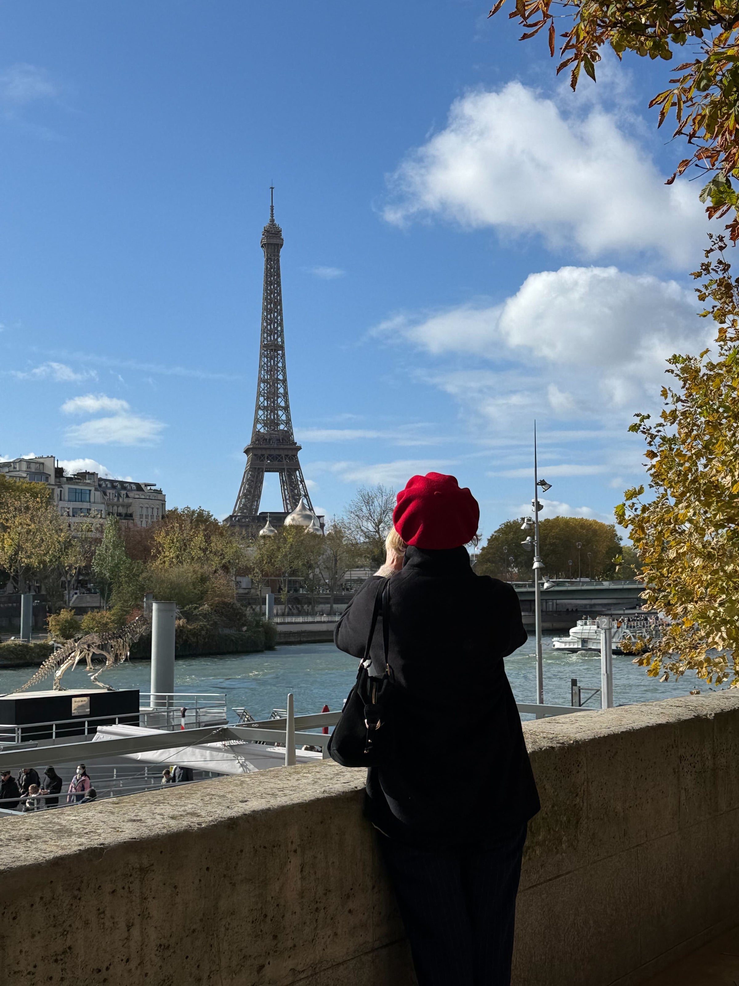 A person wearing a red beret and dark coat stands by a stone wall, looking towards the Eiffel Tower across the Seine River on a sunny day with scattered clouds and autumn foliage.