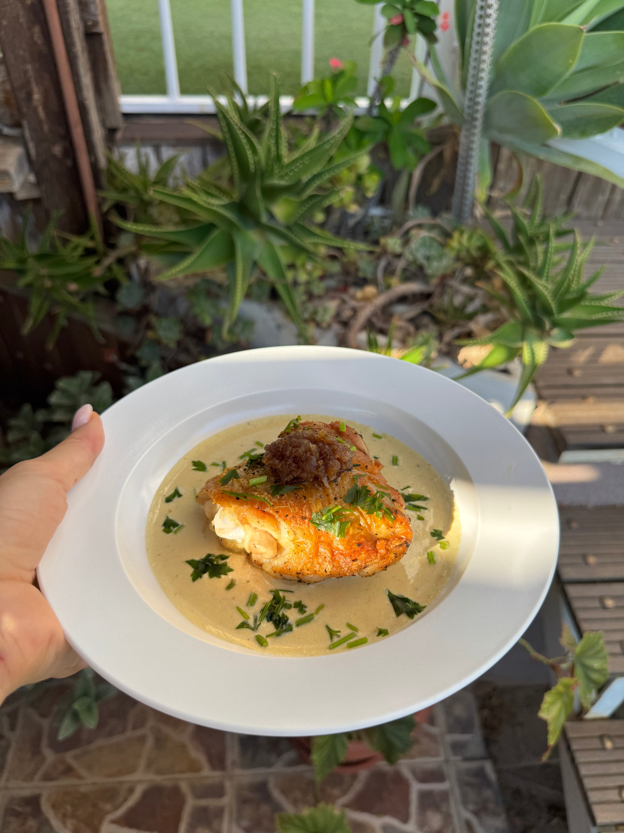 A hand holds a white plate with a browned chicken breast, creamy sauce, herbs, and a dollop of tapenade. Succulents, plants, and patio flooring appear in the bright outdoor background.