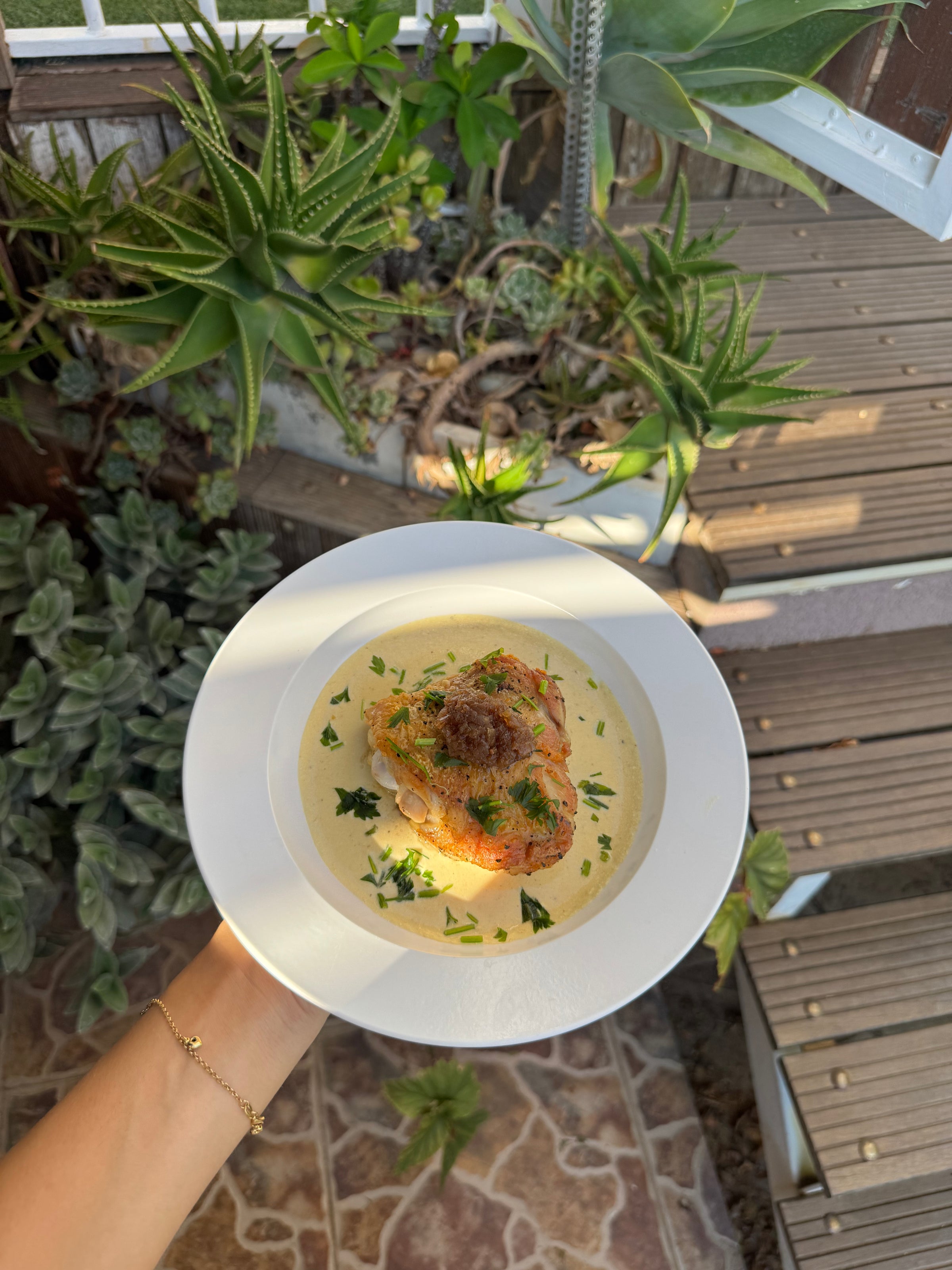 A hand holds a white plate with a creamy dish topped with herbs, set against a background of green succulents and wooden steps in an outdoor garden area.
