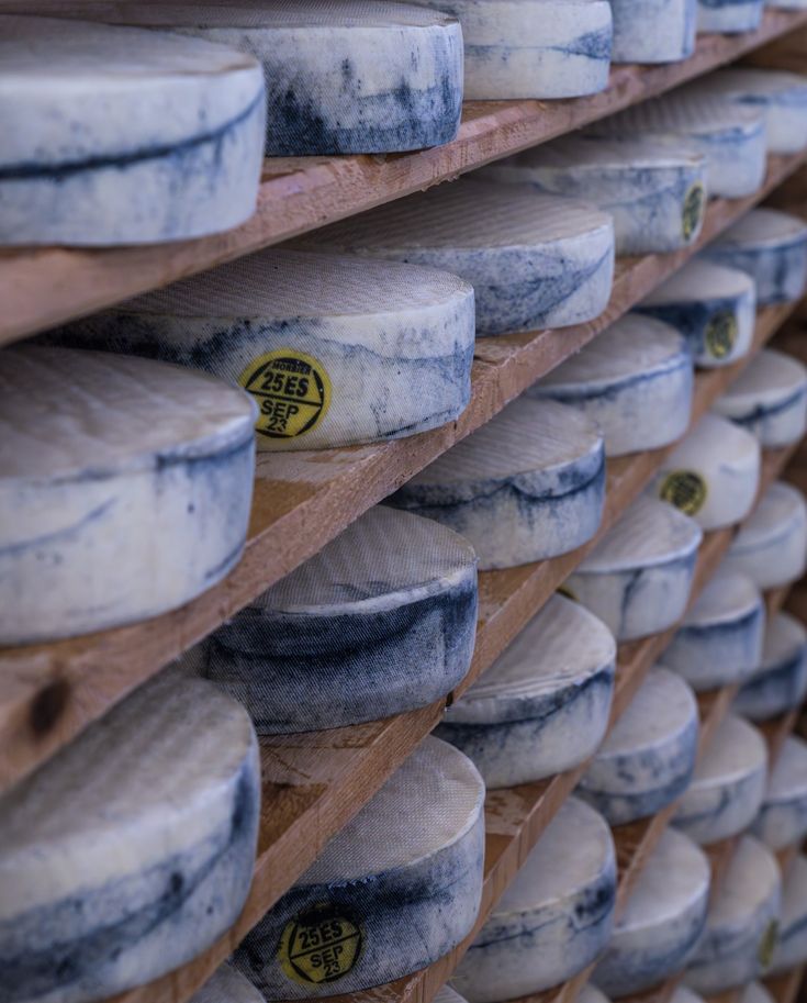 Dozens of round blue-veined cheese wheels aging on wooden shelves, each with a yellow label indicating its batch or origin. The cheeses are stacked in neat rows, showing a uniform maturation process.
