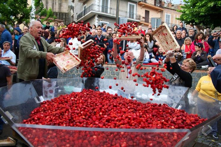 A large crowd gathers as people joyfully dump crates of bright red strawberries into a giant clear container during an outdoor festival or event.
