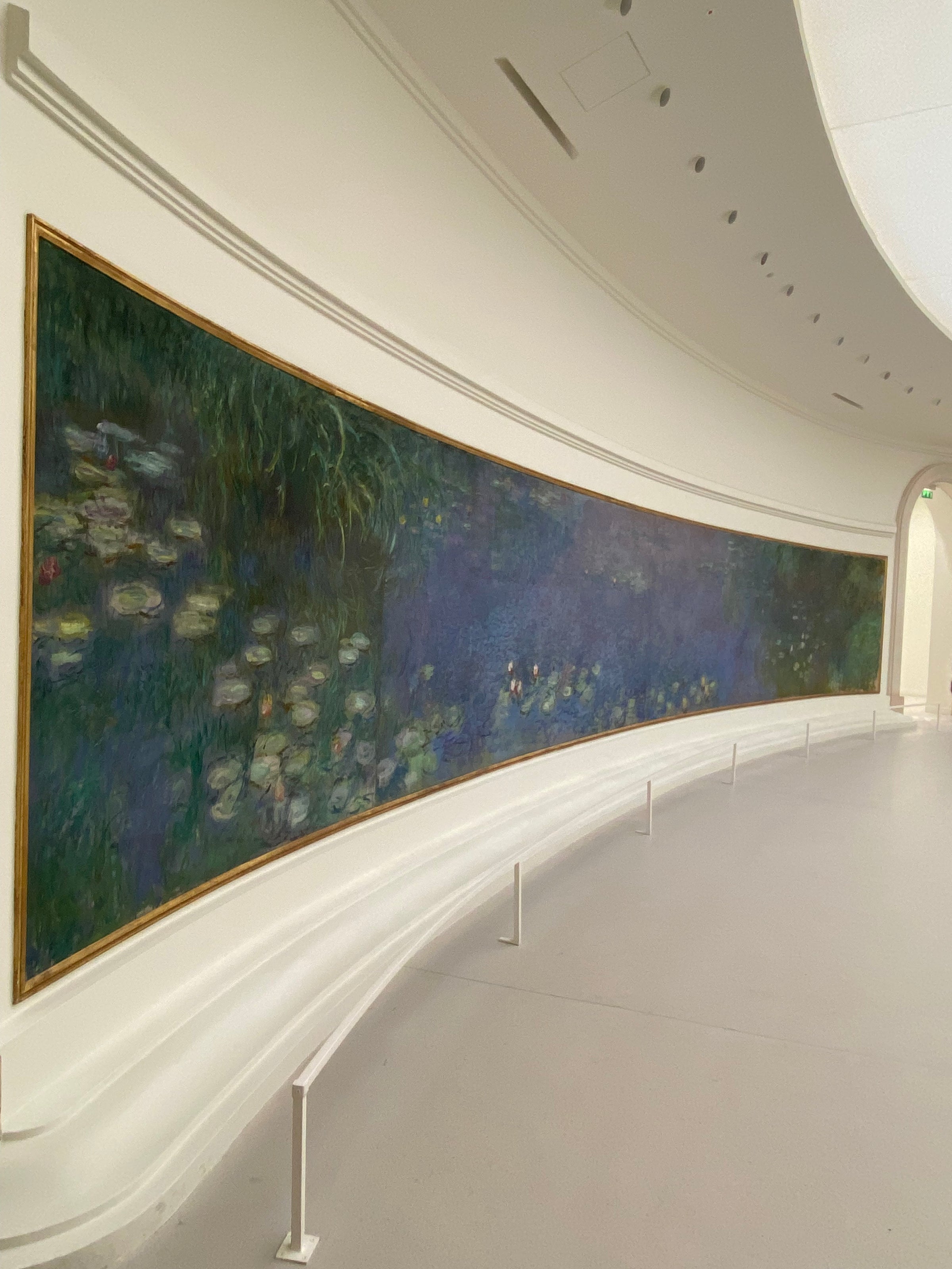 A panoramic photo of Claude Monet’s large Water Lilies painting displayed on a curved white gallery wall, with soft lighting and a minimal, modern setting.