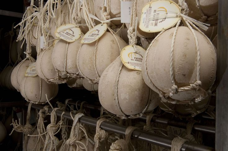 Several round, aged cheeses are wrapped in rope and hung from metal bars, each with a paper label attached, in what appears to be a cheese curing or storage room.