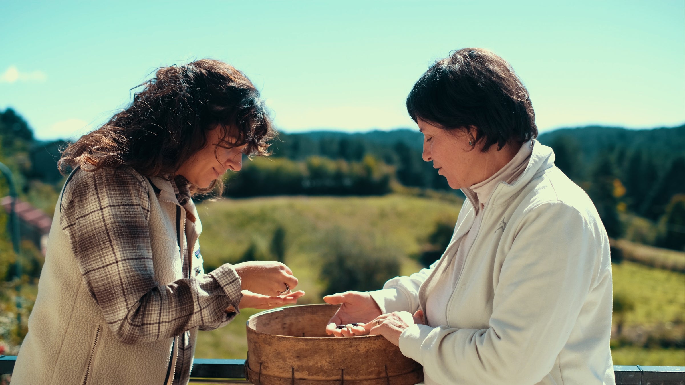 lifestyle cultural image