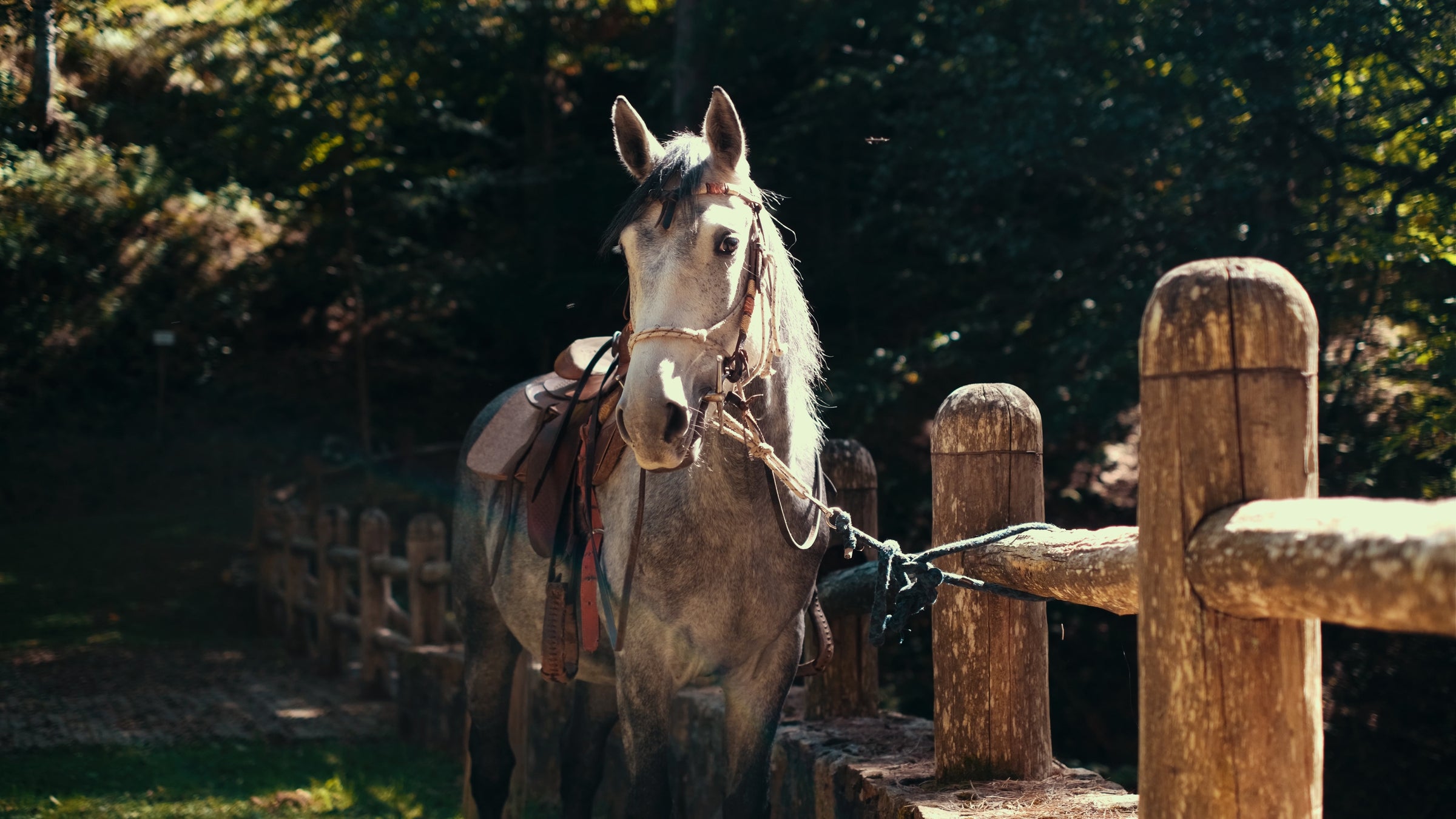 lifestyle cultural image