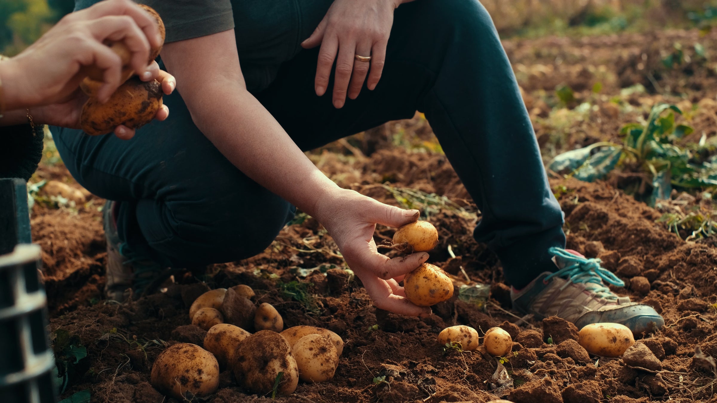 lifestyle cultural image