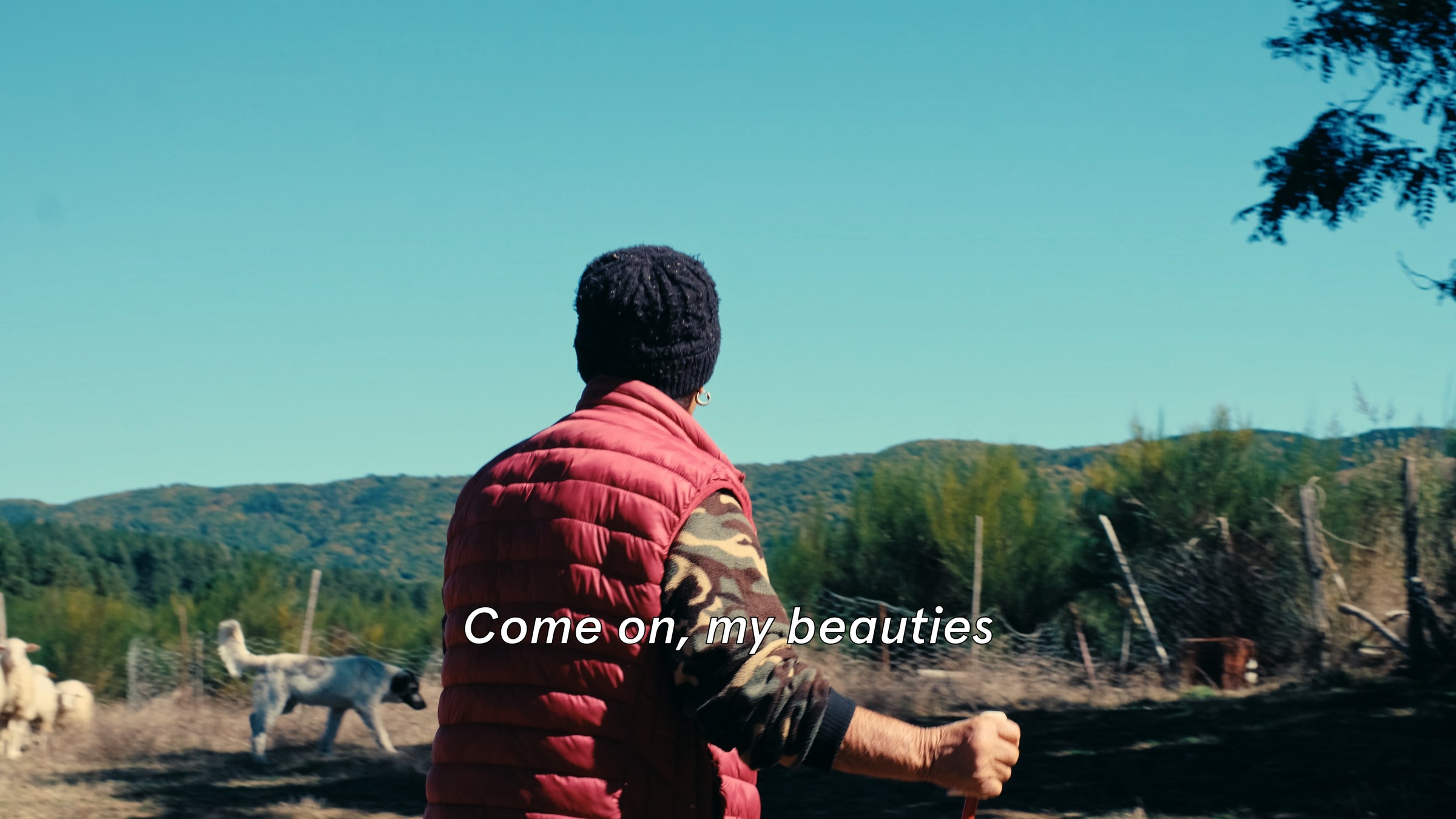 lifestyle cultural image 