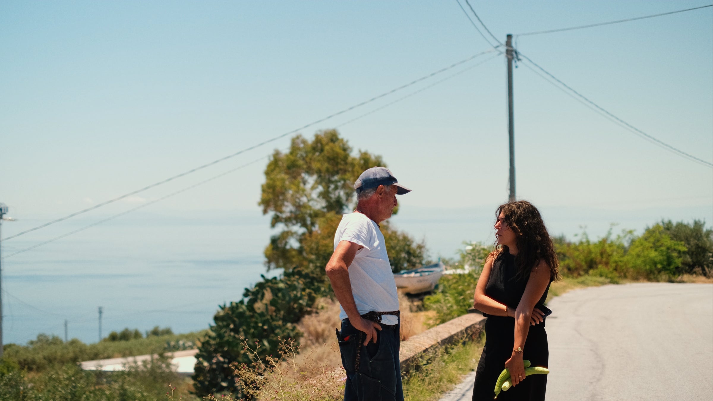 A man in a white shirt and blue cap stands talking to a woman in a black dress holding a green object by a road, with trees, power lines, and the sea in the background under a clear sky.