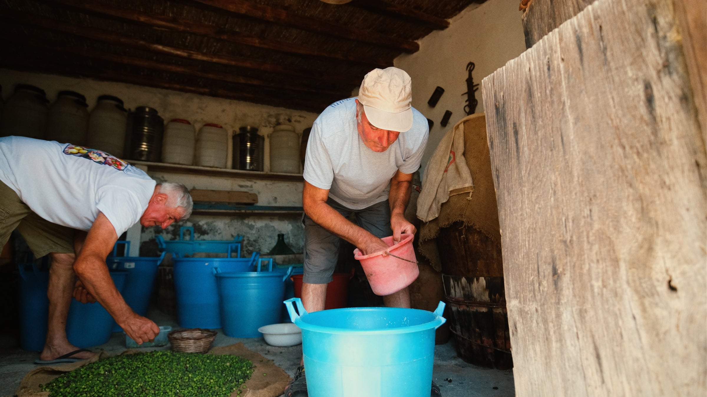 Two older men work indoors; one is filling a blue tub with a pink container, while the other sorts green leaves. Large blue buckets and storage jars fill the rustic room.