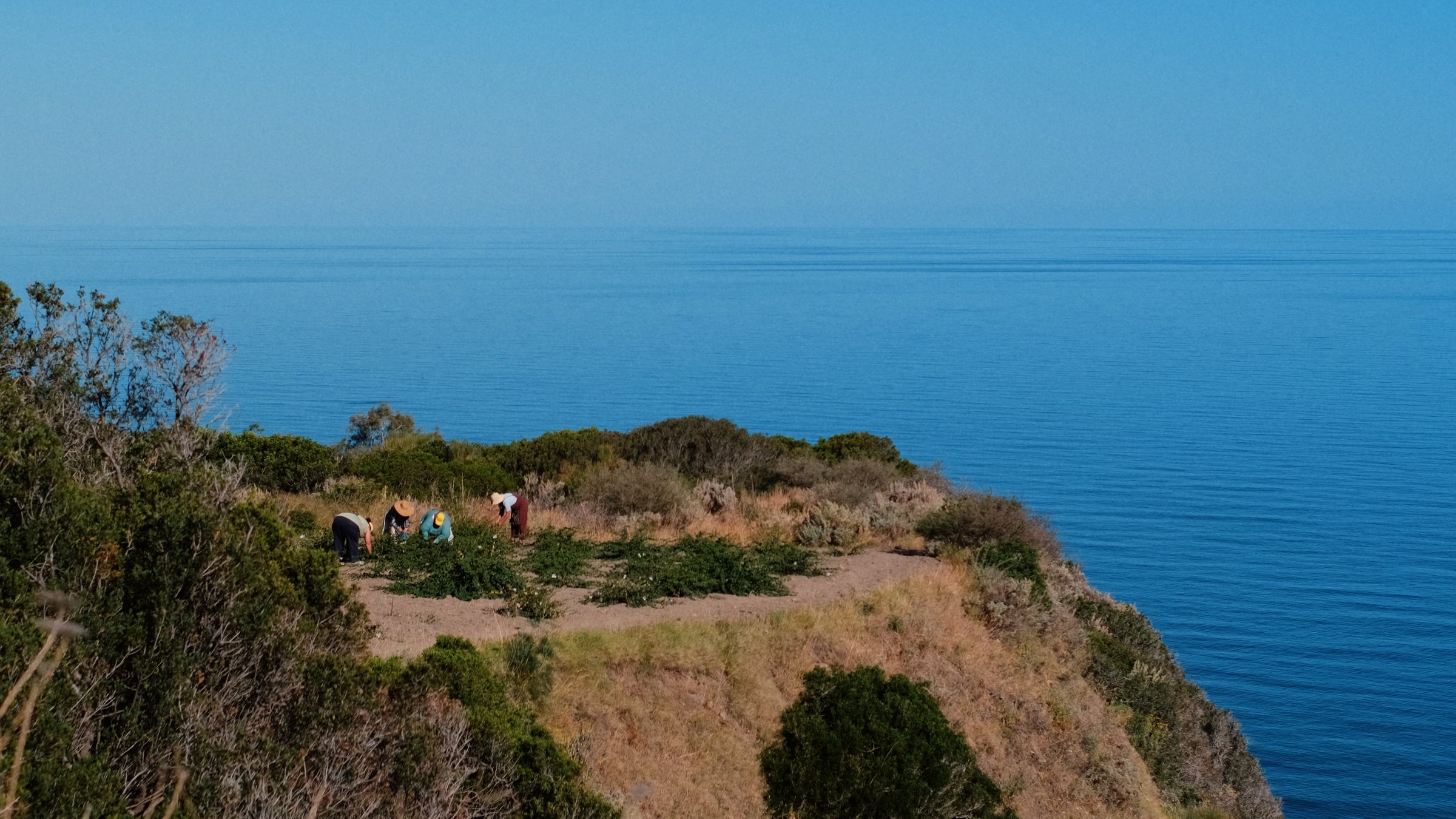 A group of people stands on a cliffside path surrounded by green bushes, overlooking calm blue ocean water under a clear sky.