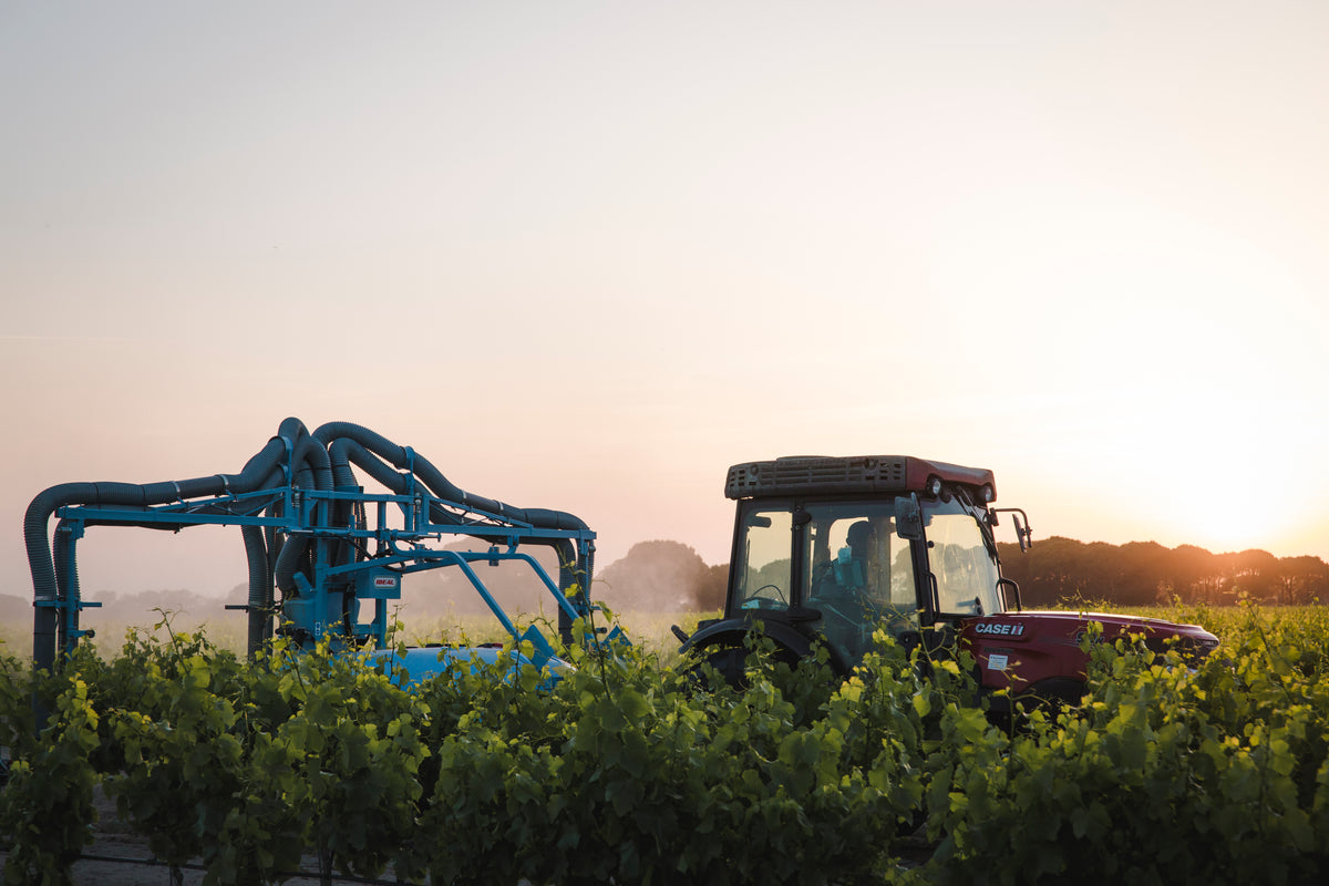 A red tractor with blue farming equipment is parked in a green vineyard at sunrise or sunset, with a clear sky and distant trees in the background.