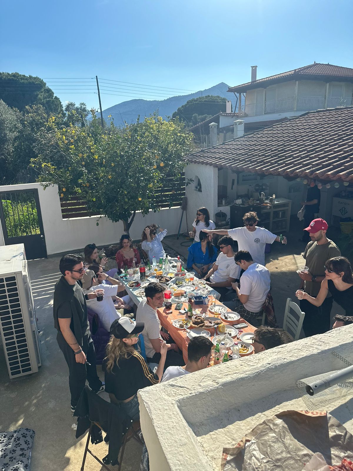 A group of people are gathered around a long outdoor table covered with food and drinks, enjoying a sunny meal in a backyard with trees and mountains visible in the background.