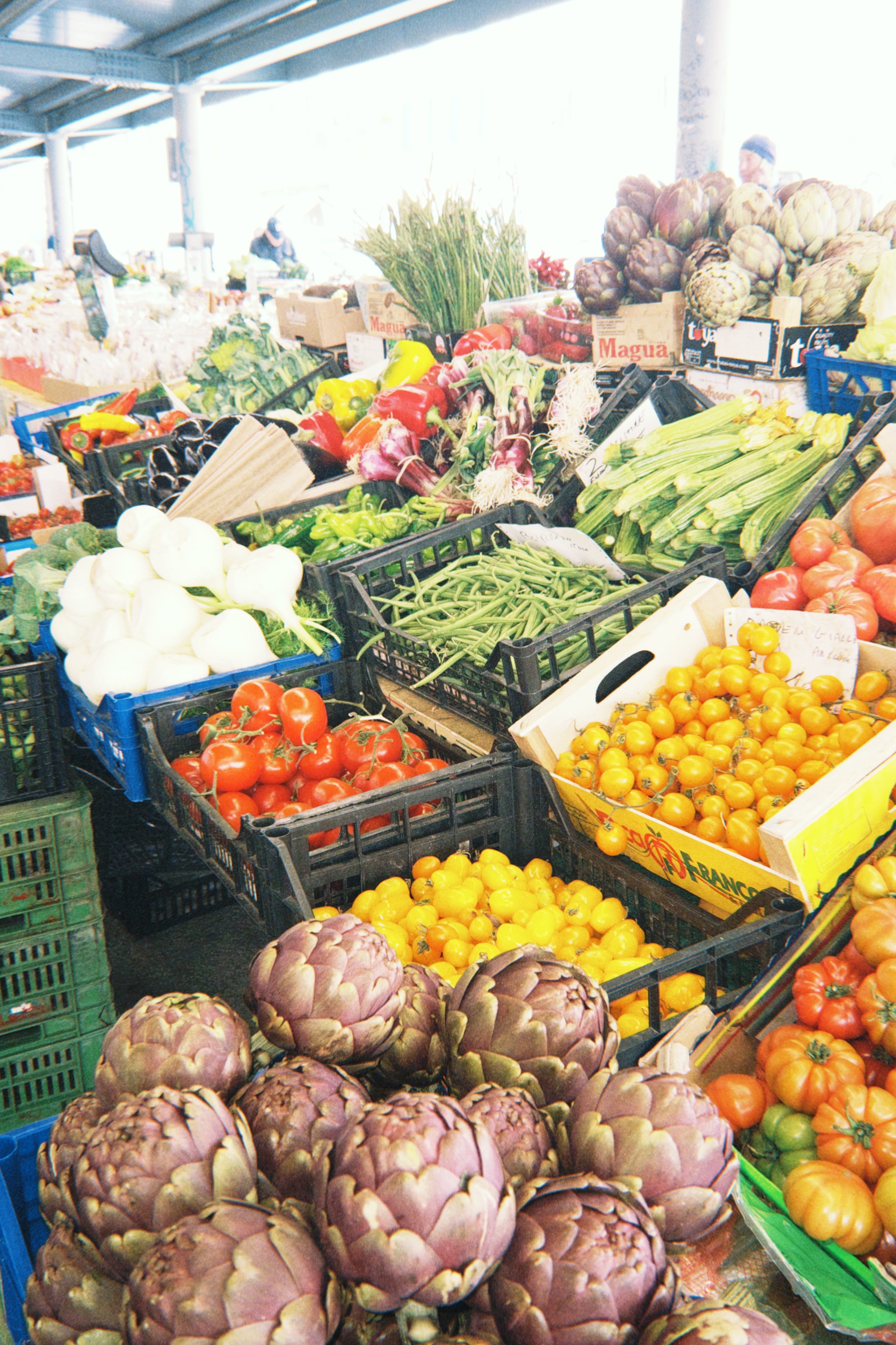 Colorful vegetable market stall displaying artichokes, yellow and red tomatoes, fennel, green beans, peppers, leafy greens, and other fresh produce in plastic crates under a covered area.