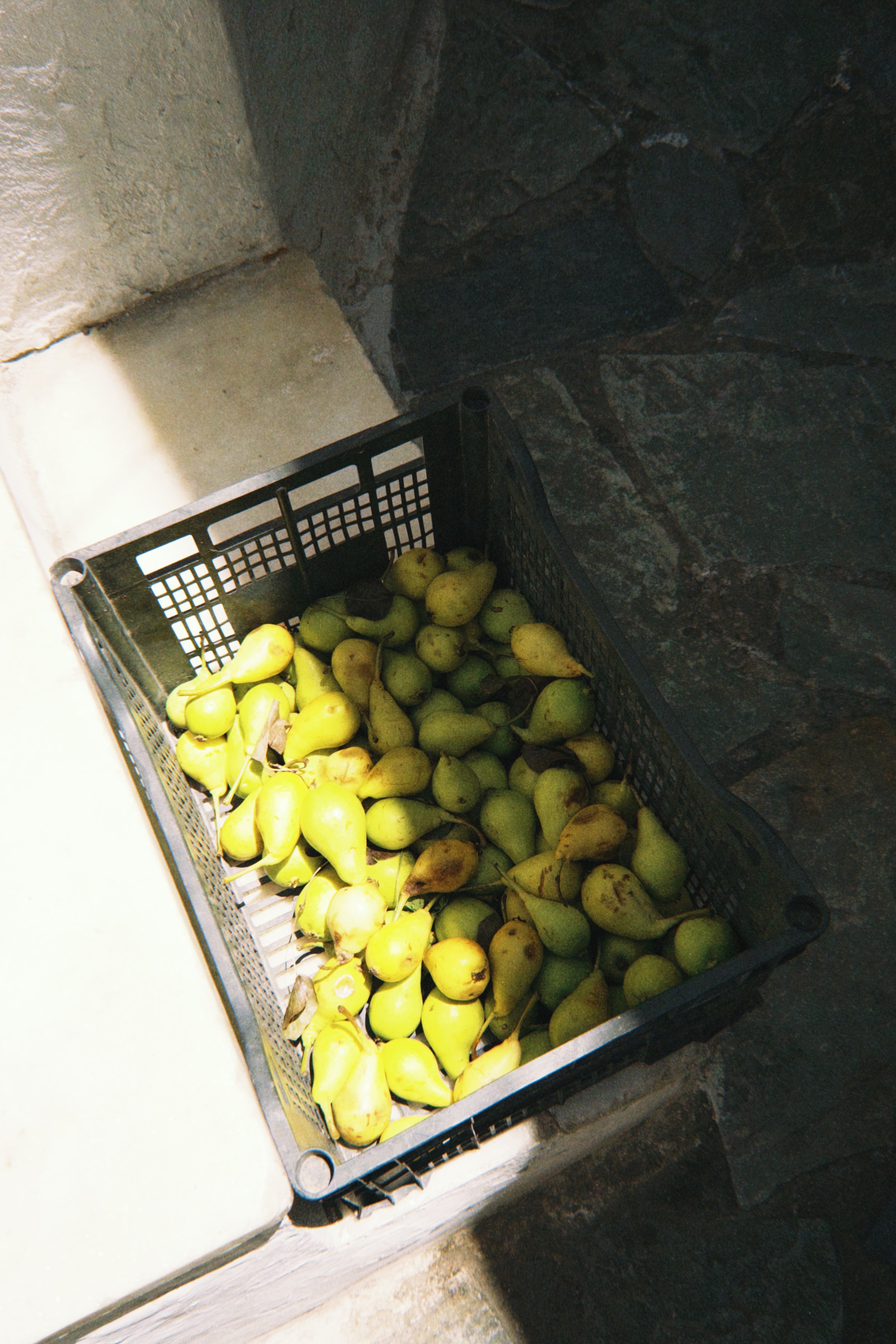 A black crate filled with yellow-green pears sits on a stone floor, partially lit by sunlight streaming in from the left side.