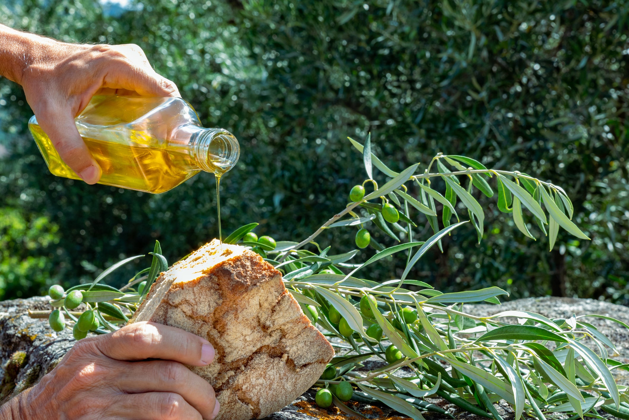 A hand pours olive oil from a glass bottle onto a slice of rustic bread, with olive branches and green olives in the background outdoors.