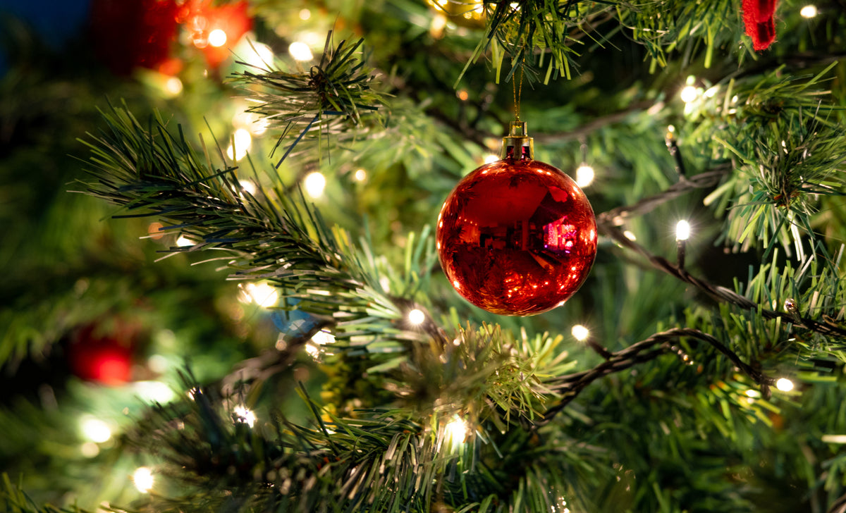 A close-up of a Christmas tree decorated with white lights and a shiny red ornament hanging among green pine needles.