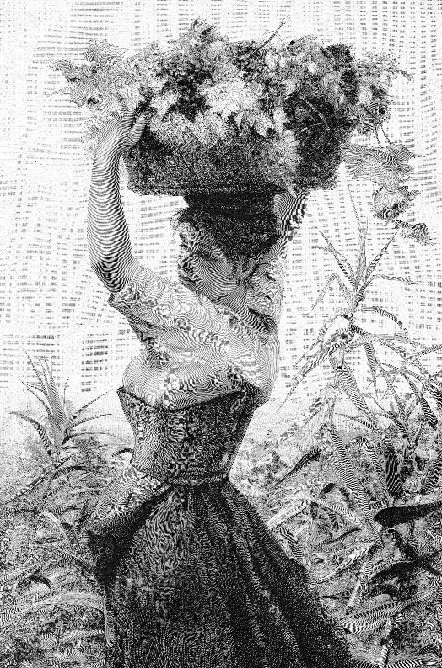 A woman in old-fashioned clothing stands in a field, holding a basket of grapes and leaves on her head. She looks over her shoulder while surrounded by tall plants. The image is in black and white.