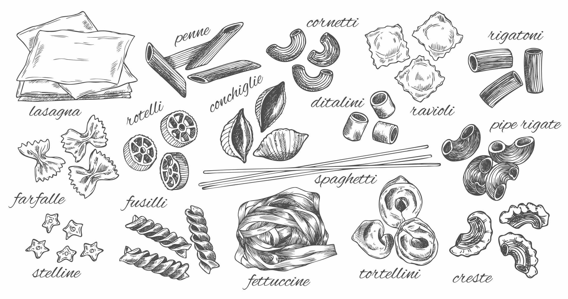 Hand-drawn illustrations of various pasta types, each labeled with its name, including lasagna, penne, ravioli, spaghetti, farfalle, fusilli, rotelli, rigatoni, ditalini, conchiglie, and more.